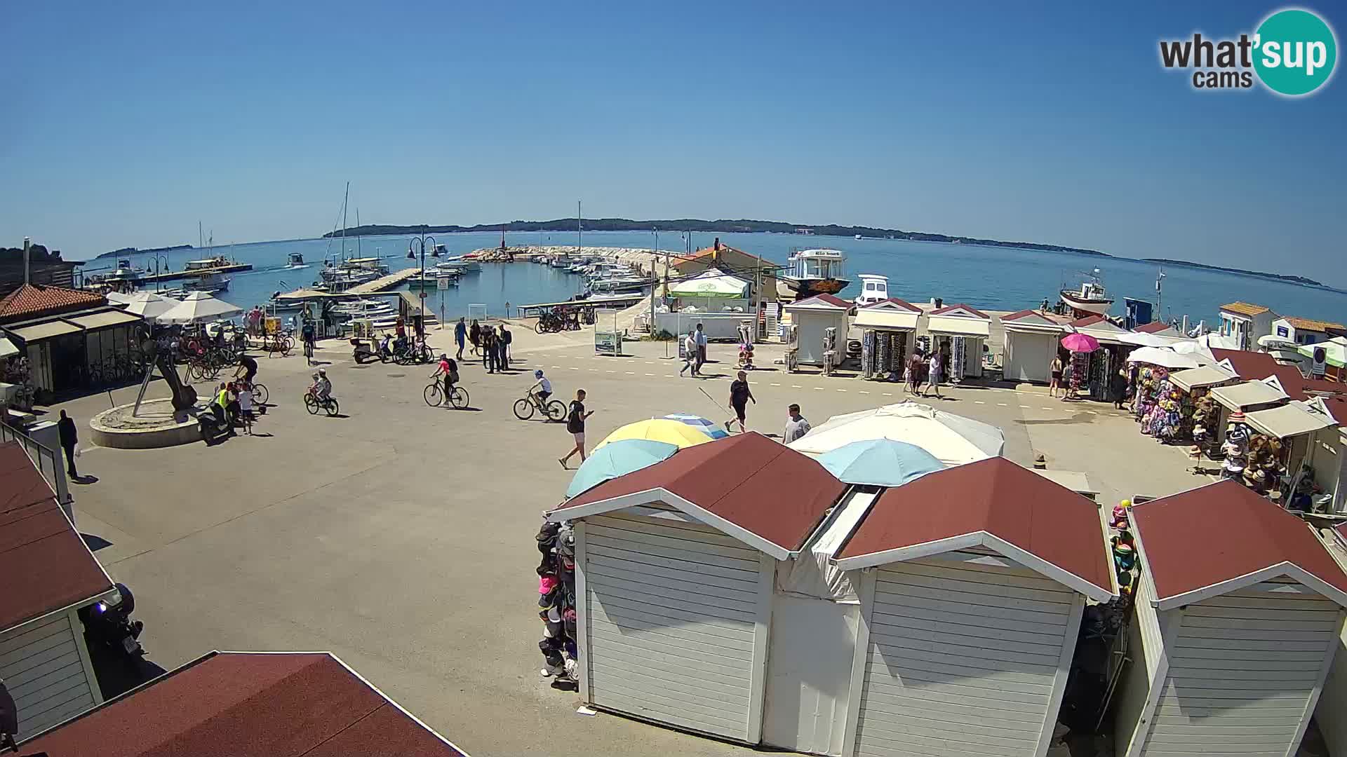 Fažana