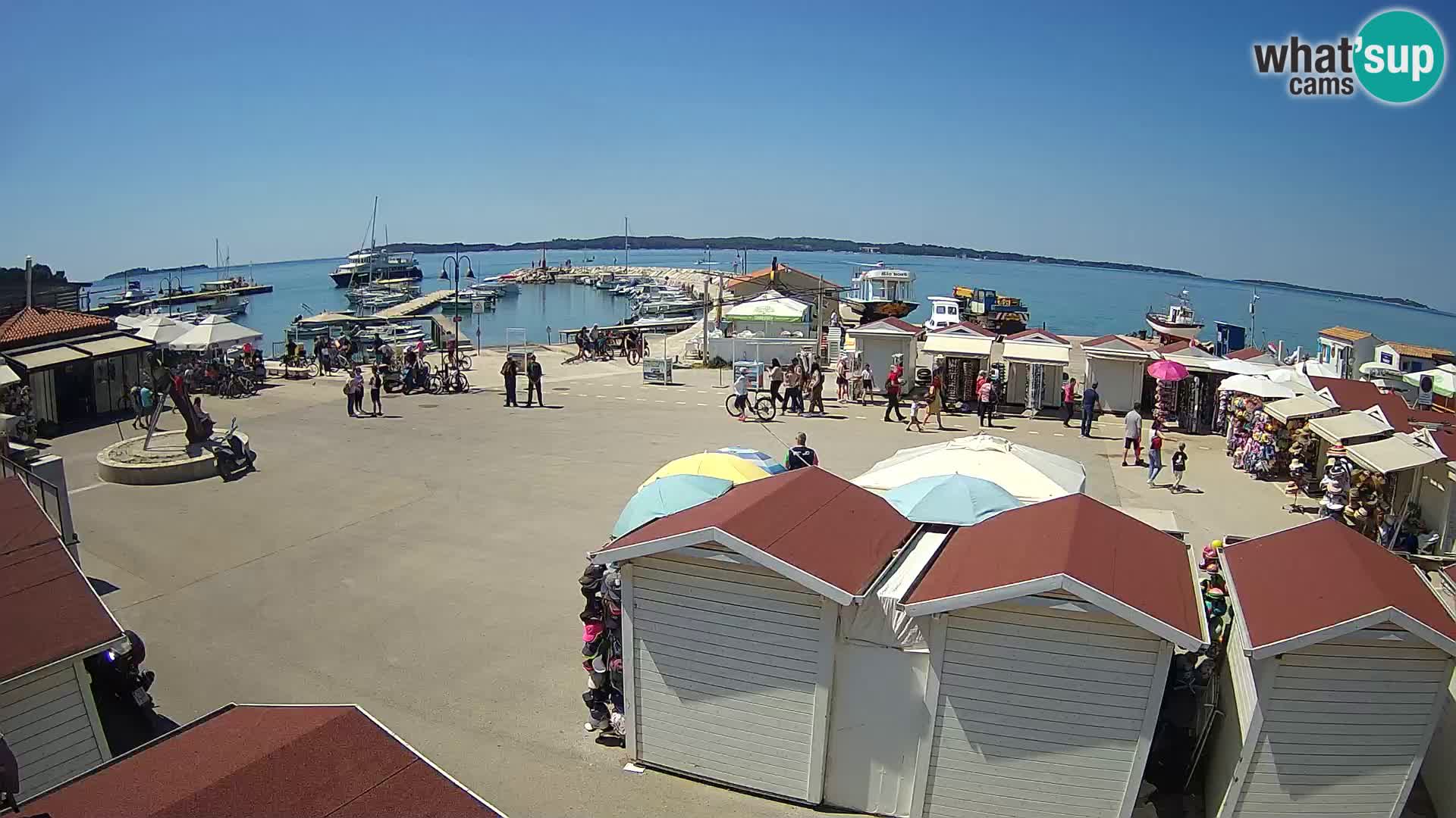 Fažana live webcam – Istria – Croatia