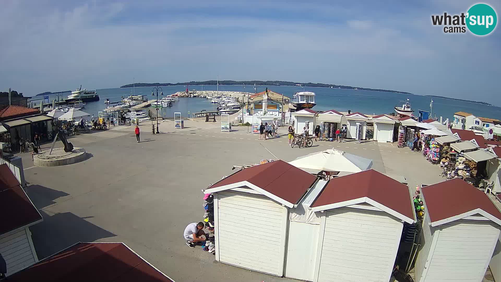 Fažana live webcam – Istria – Croatia