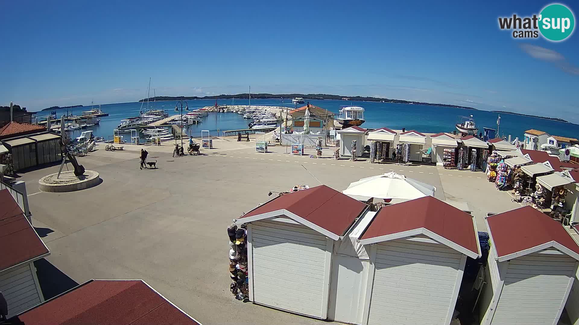 Camera en vivo Fažana