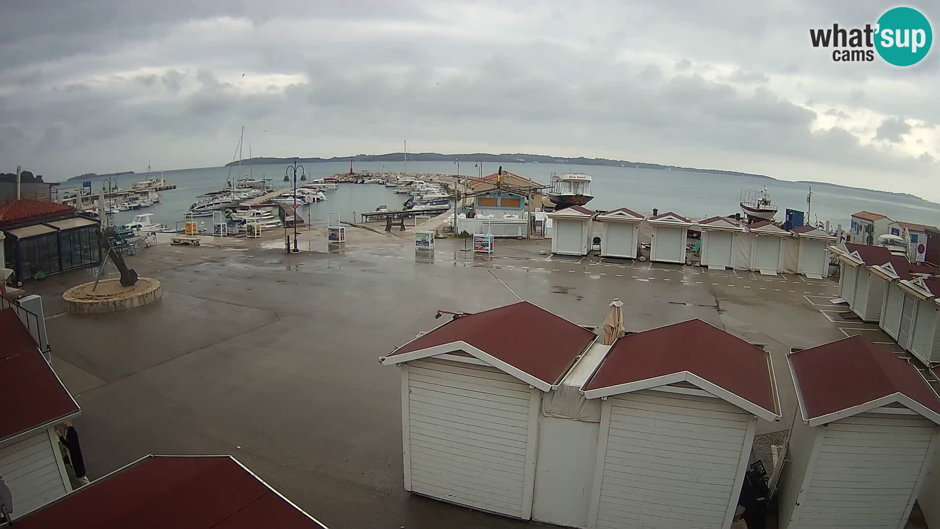 Fažana live webcam – Istria – Croatia