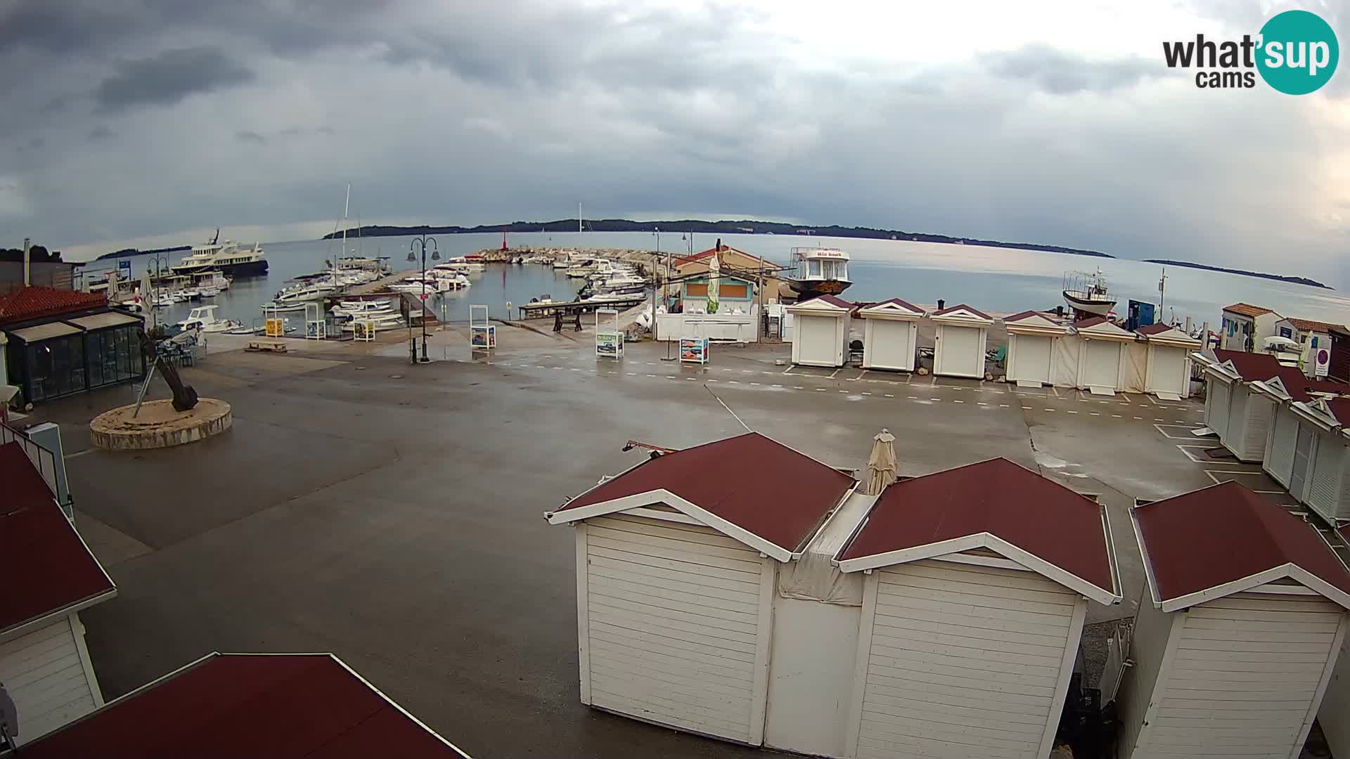 Live webcam Fažana