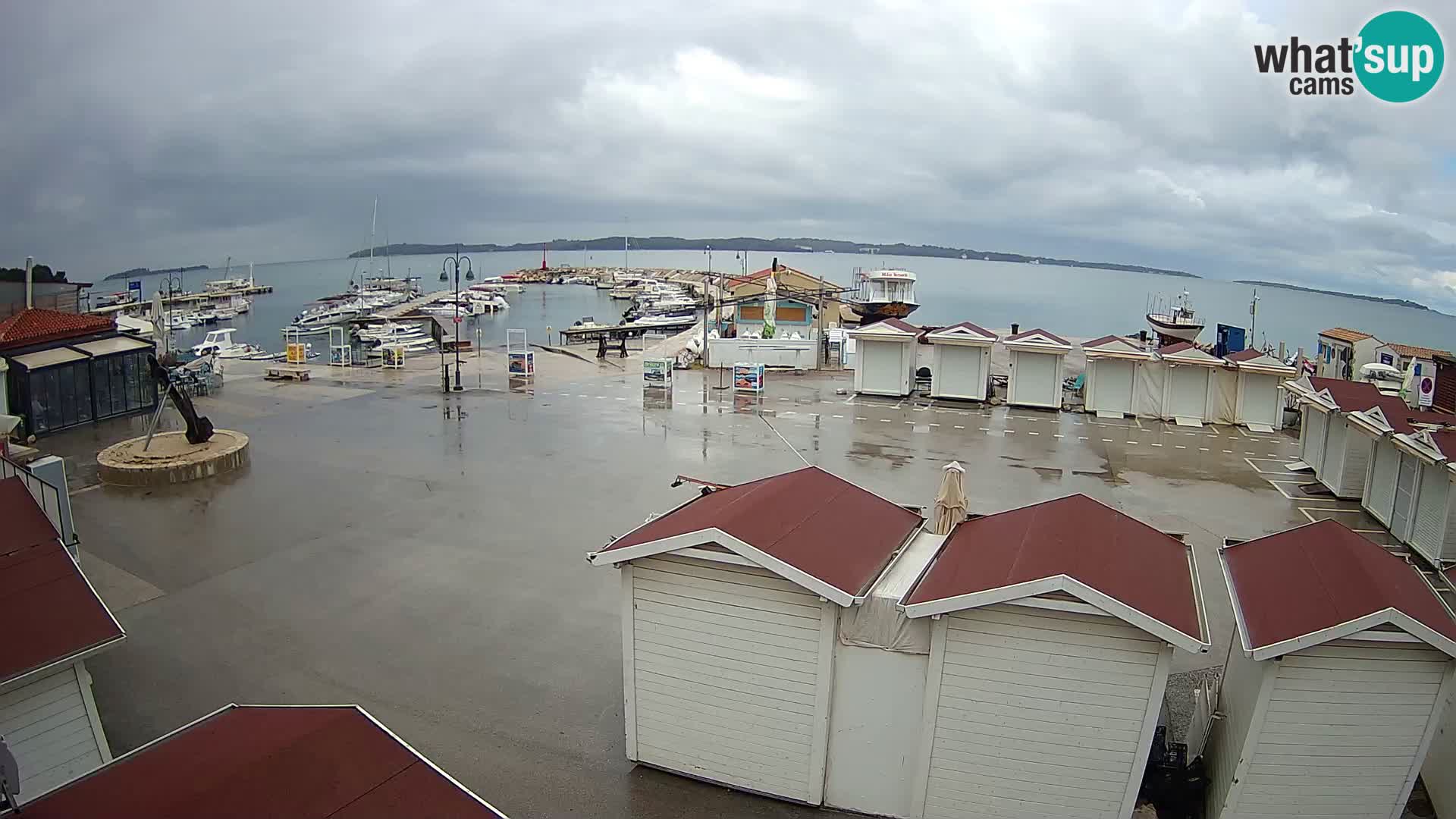 Fažana live webcam – Istria – Croatia
