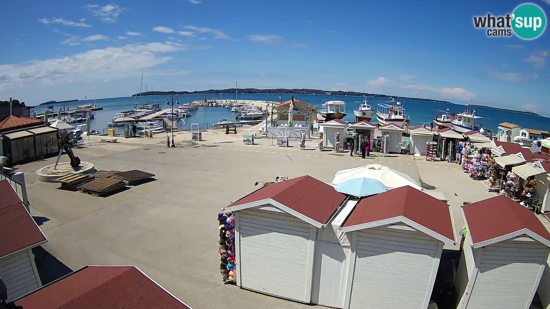 Live webcam Fažana