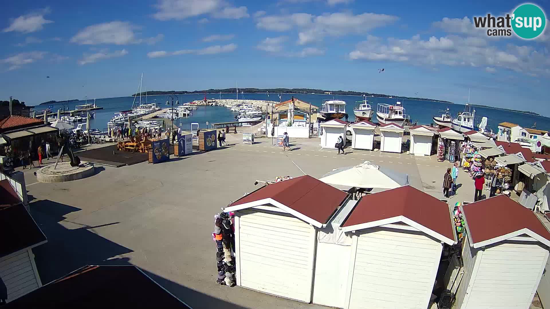 Fažana live webcam – Istria – Croatia