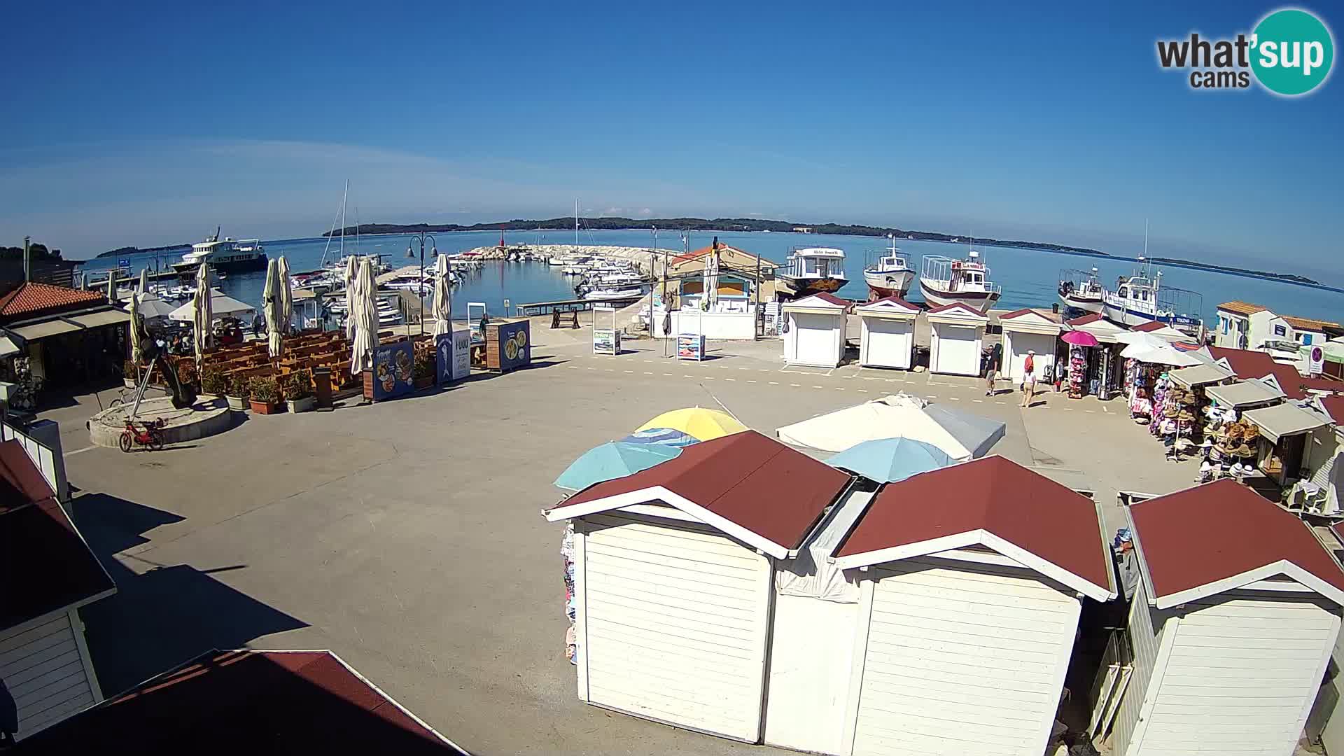 Fažana live webcam