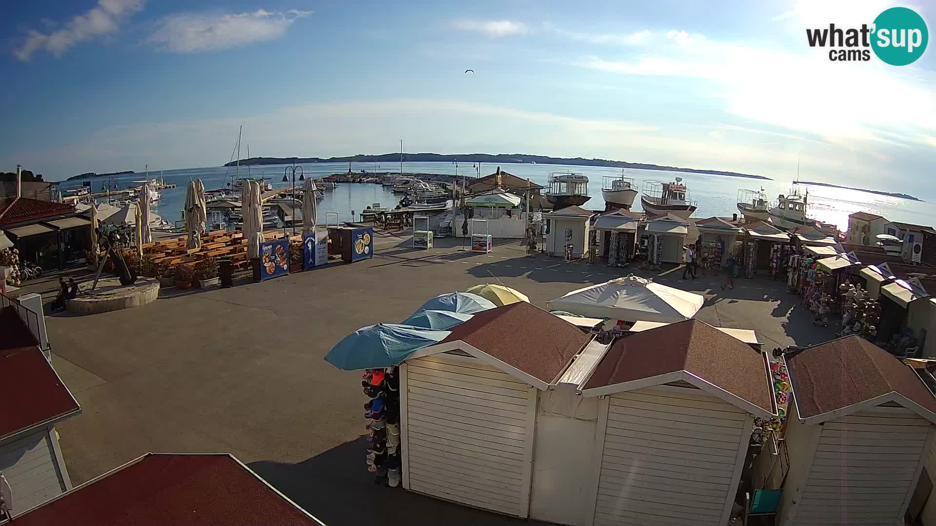 Fažana live webcam – Istria – Croatia