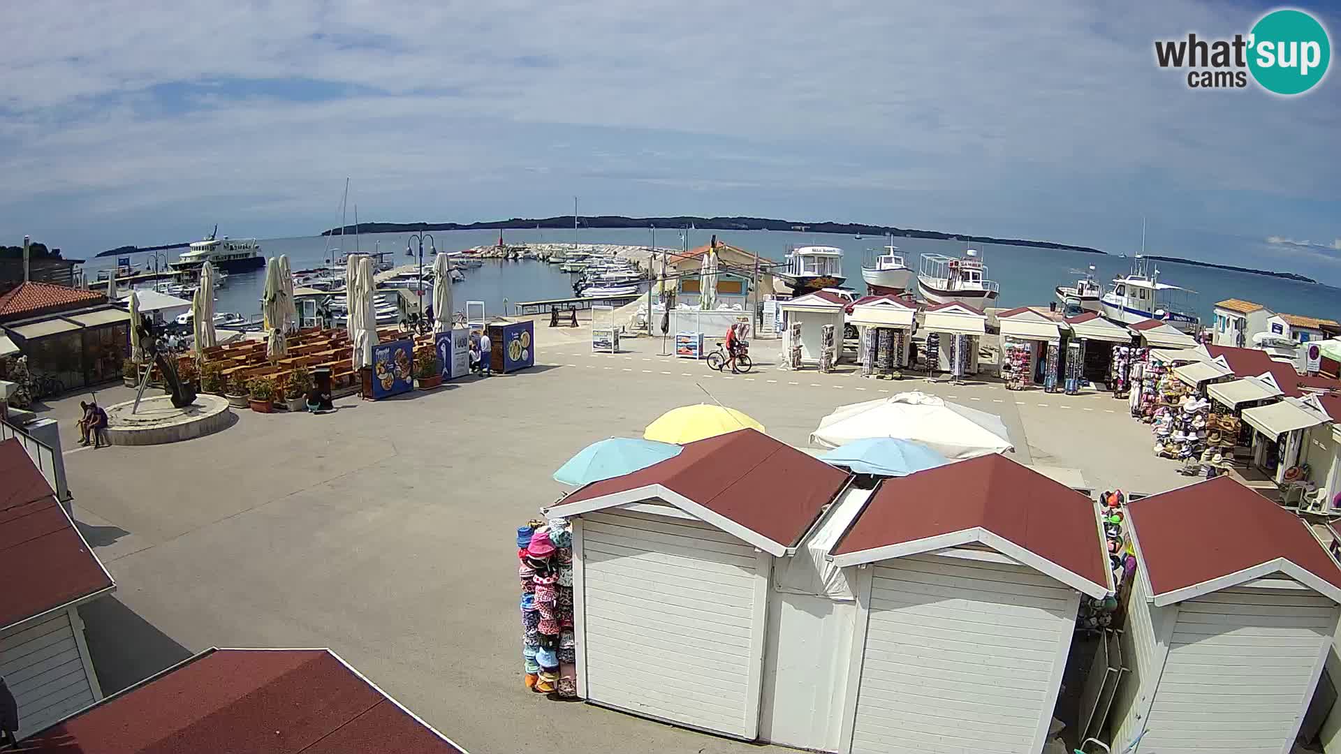 Live webcam Fažana