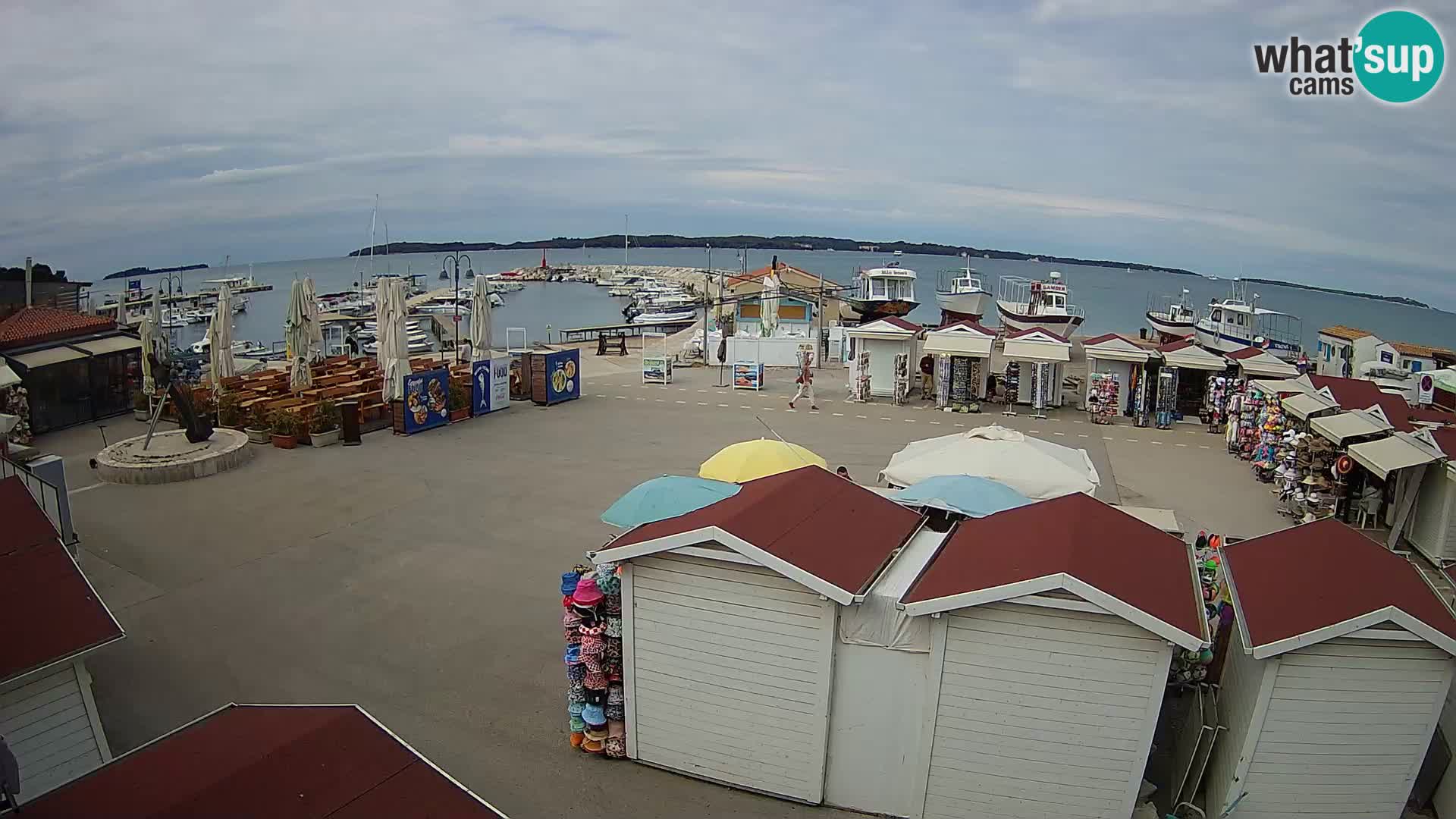 Fažana live webcam