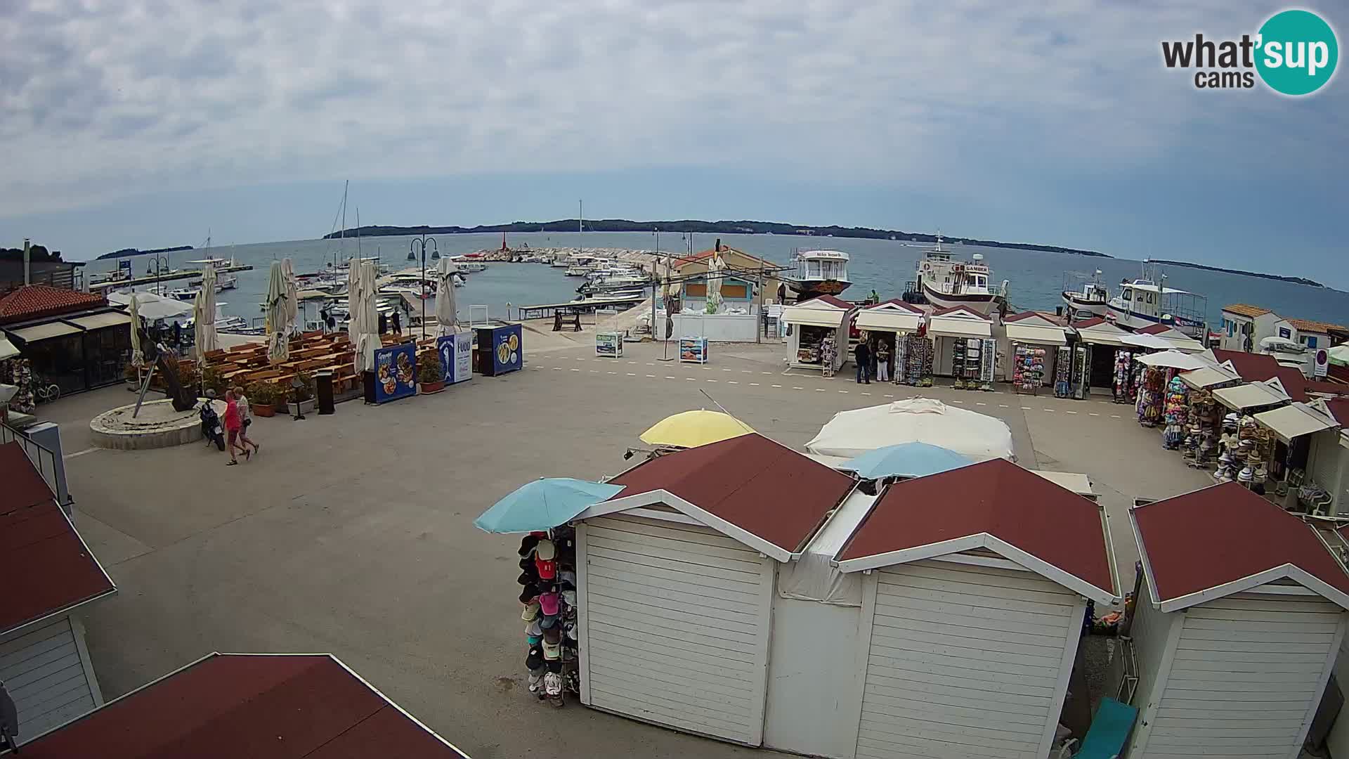 Live webcam Fažana