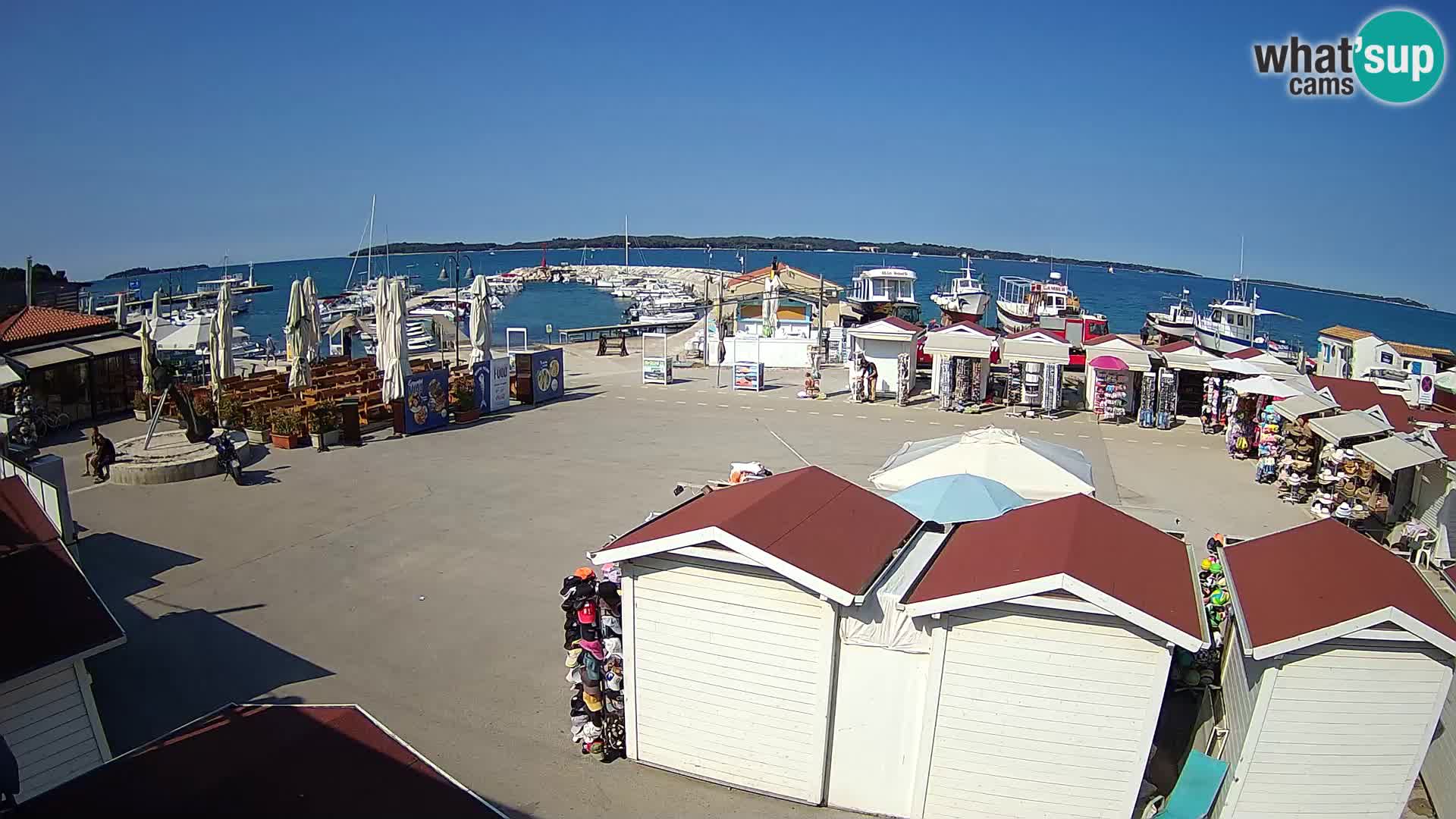 Fažana live webcam