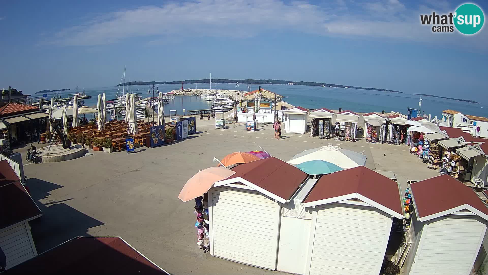 Fažana live webcam – Istria – Croatia