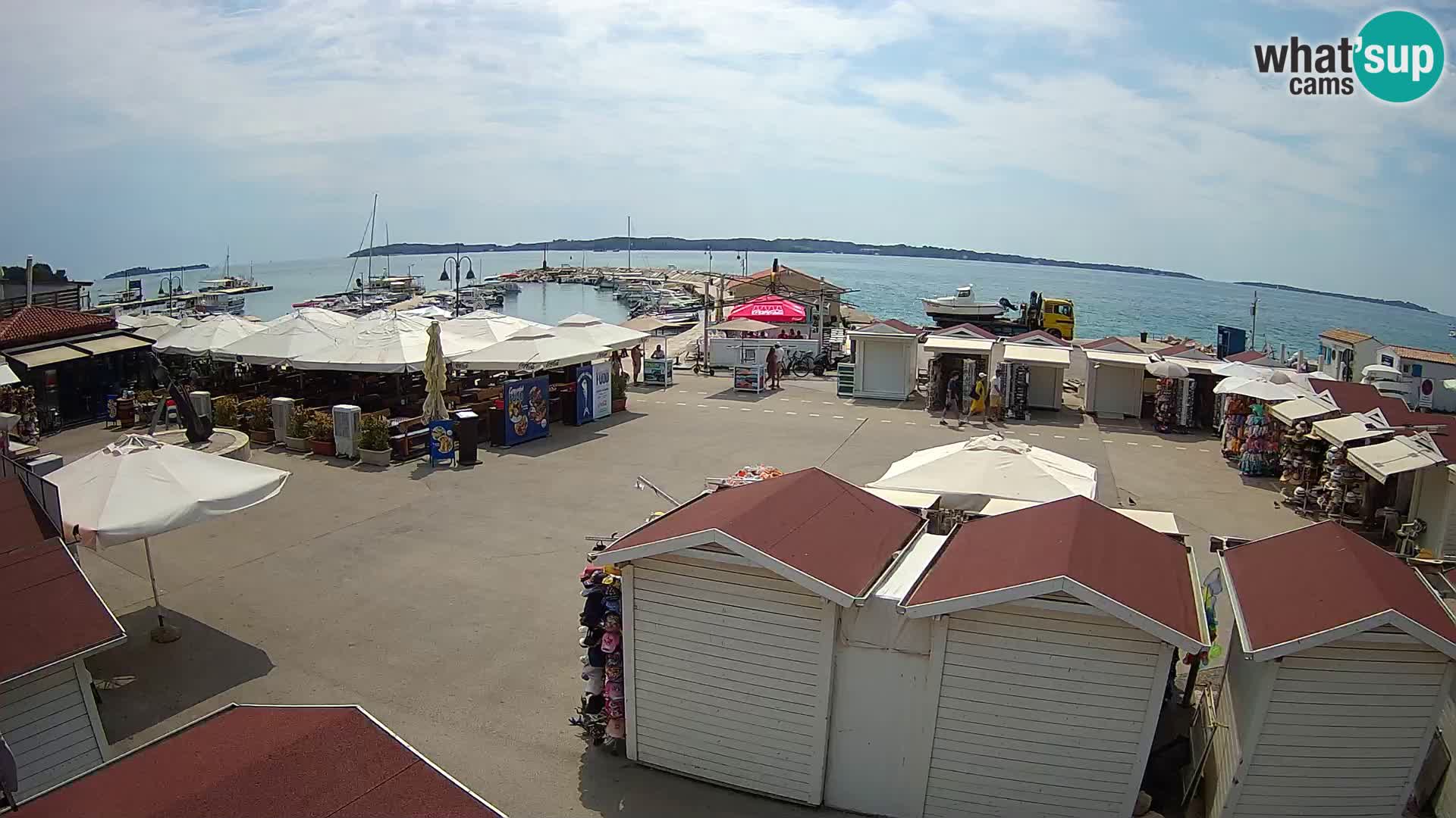 Fažana live webcam – Istria – Croatia