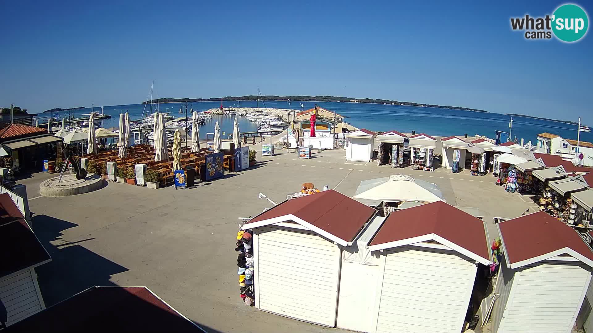 Fažana live webcam – Istria – Croatia