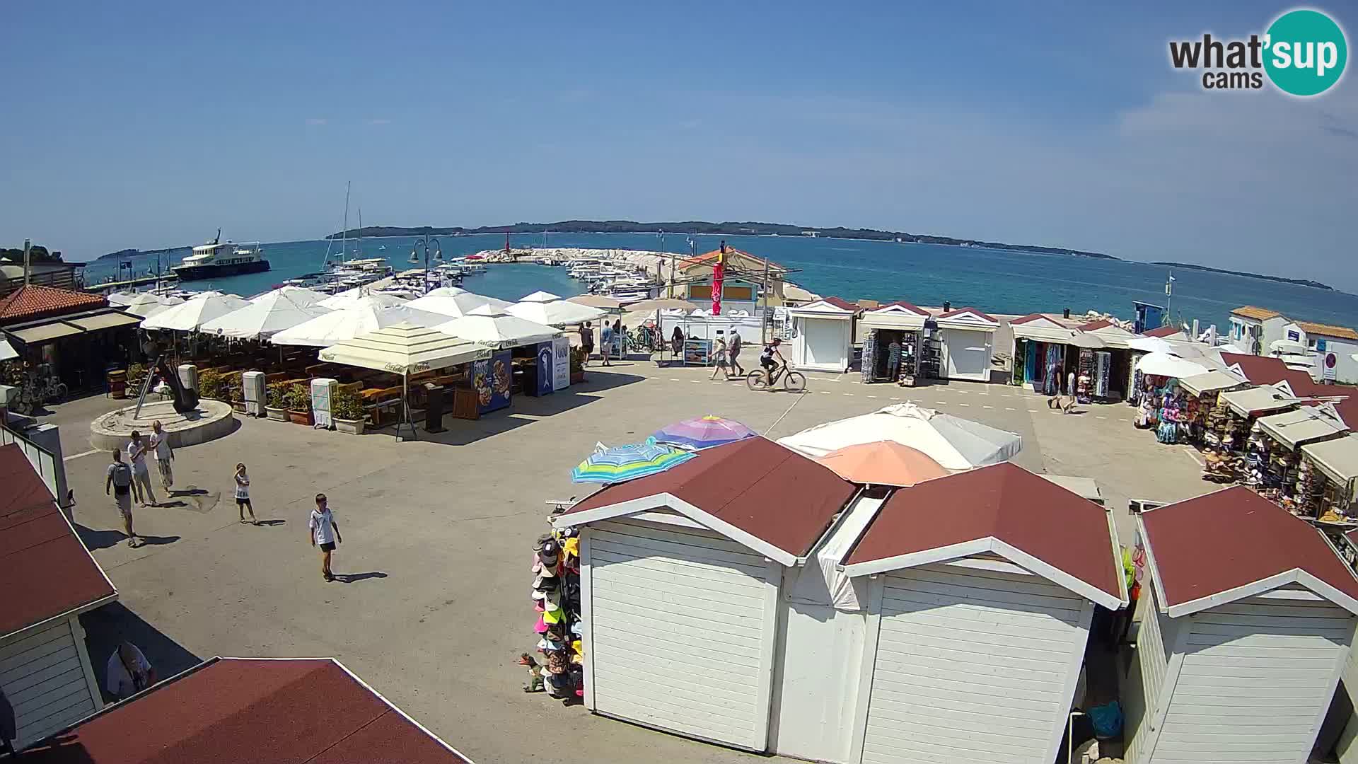 Fažana live webcam – Istria – Croatia