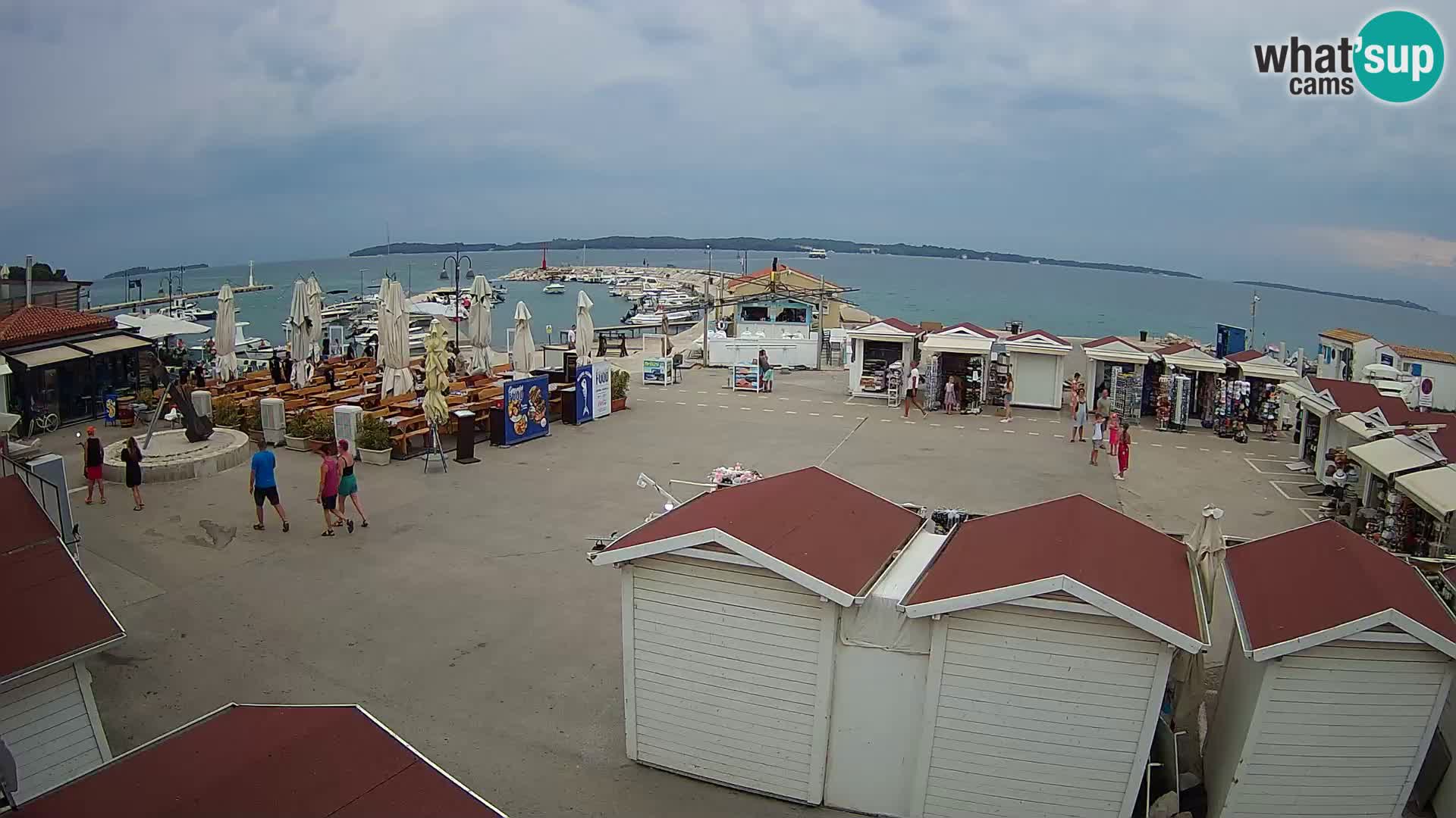Fažana live webcam – Istria – Croatia