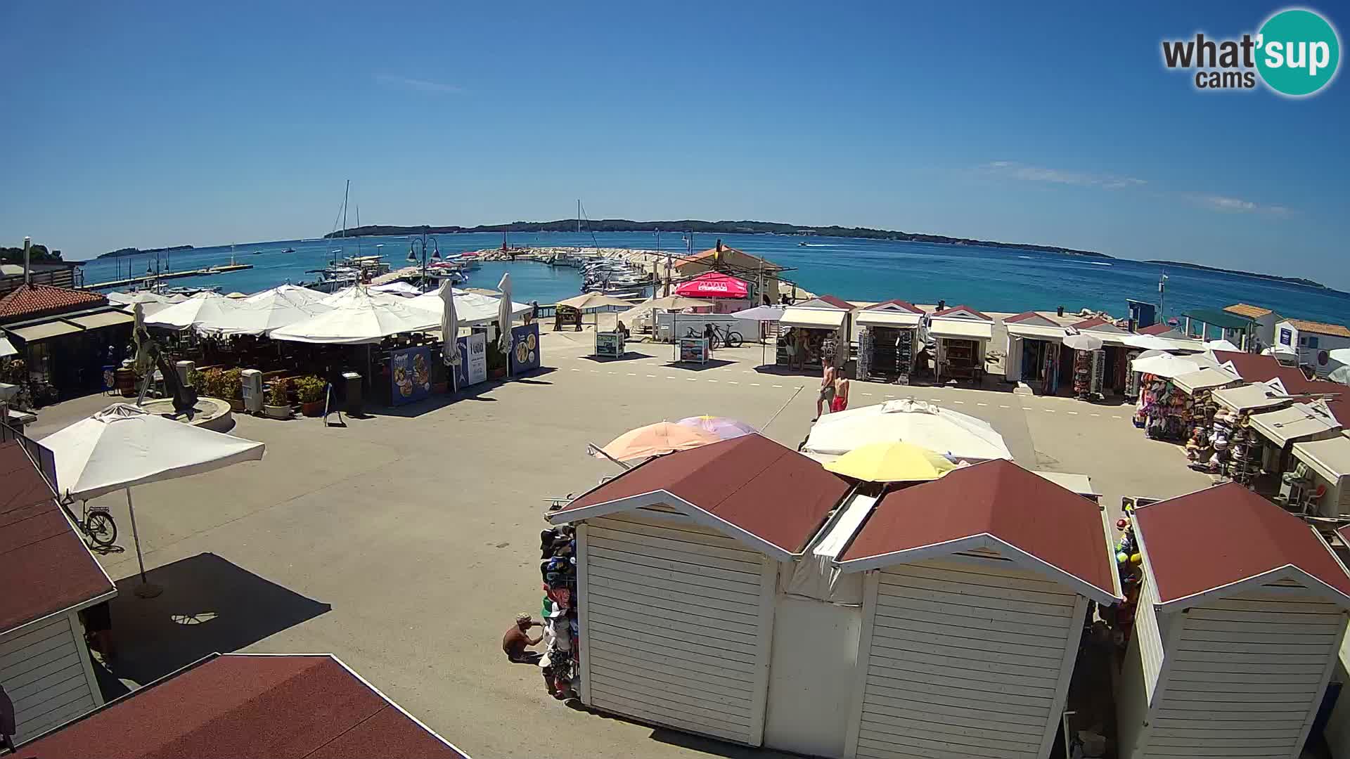 Fažana live webcam – Istria – Croatia