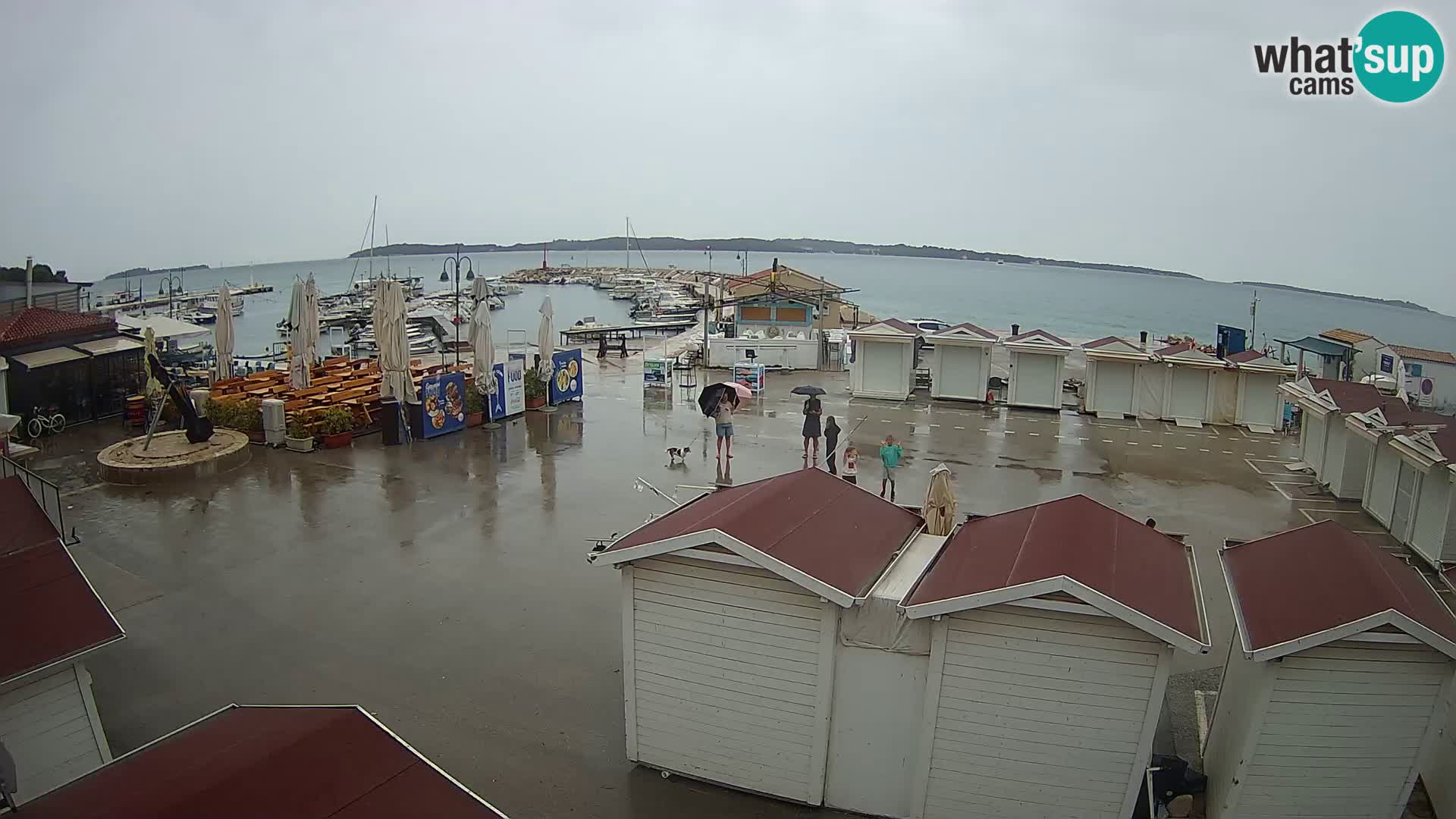Live webcam Fažana