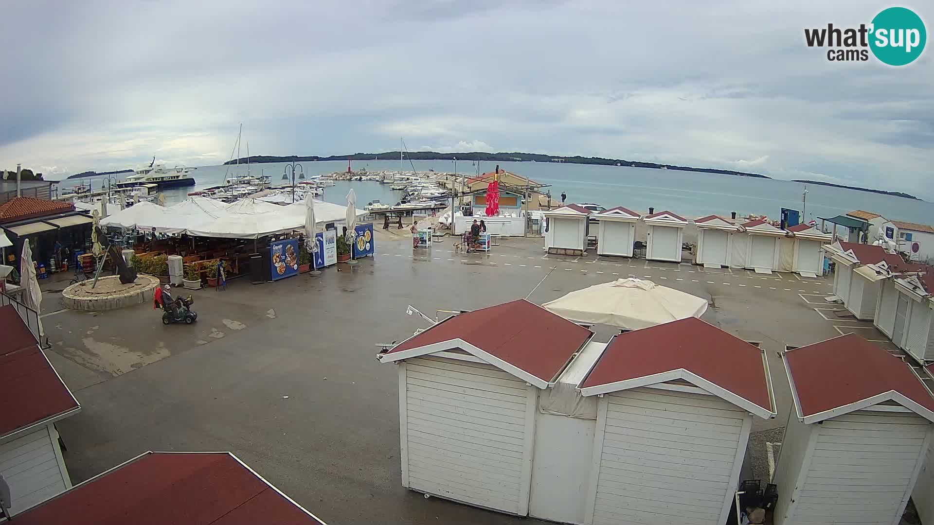Fažana live webcam – Istria – Croatia