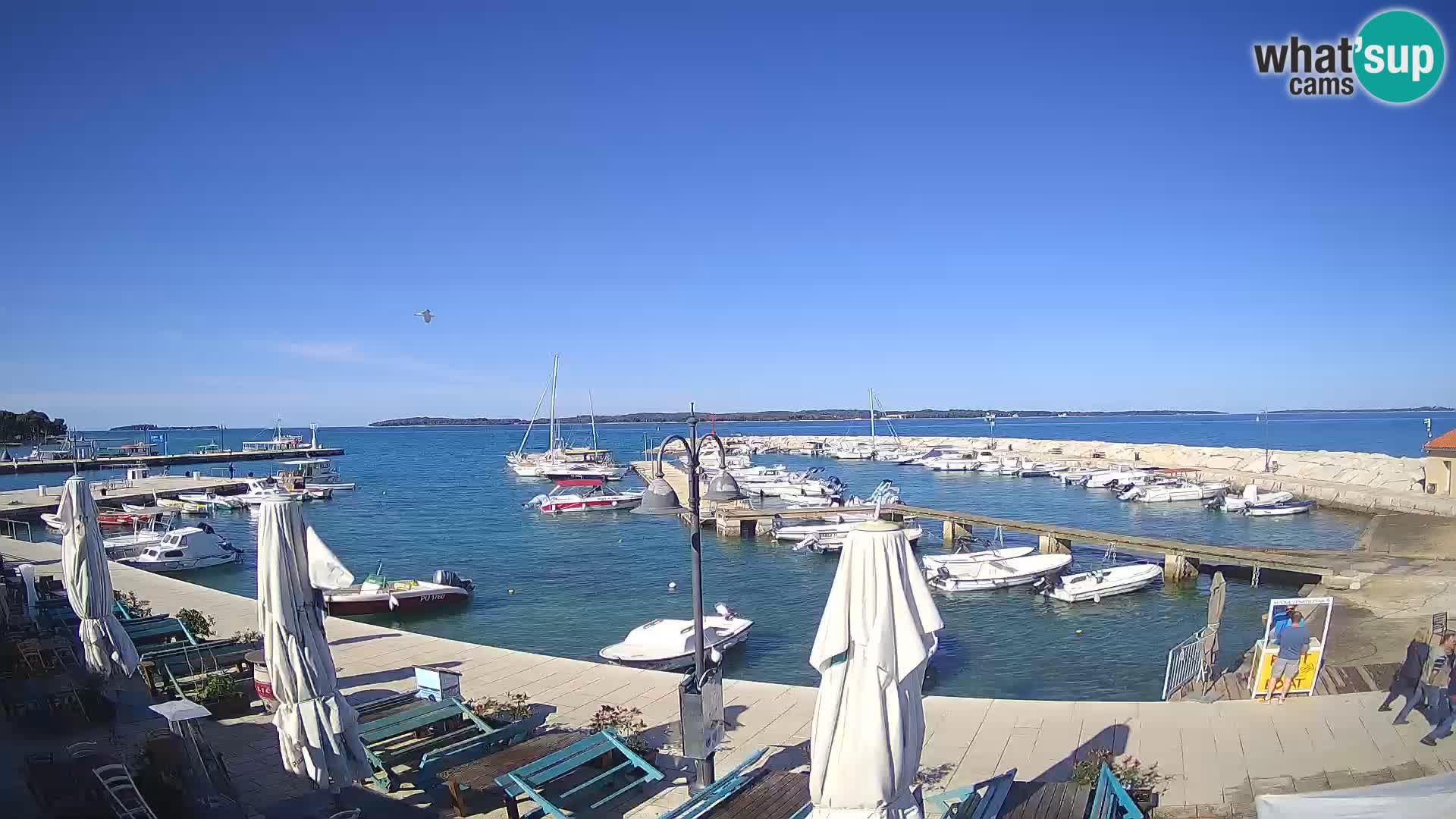 Fažana webcam Riva und Stadthafen – Istrien