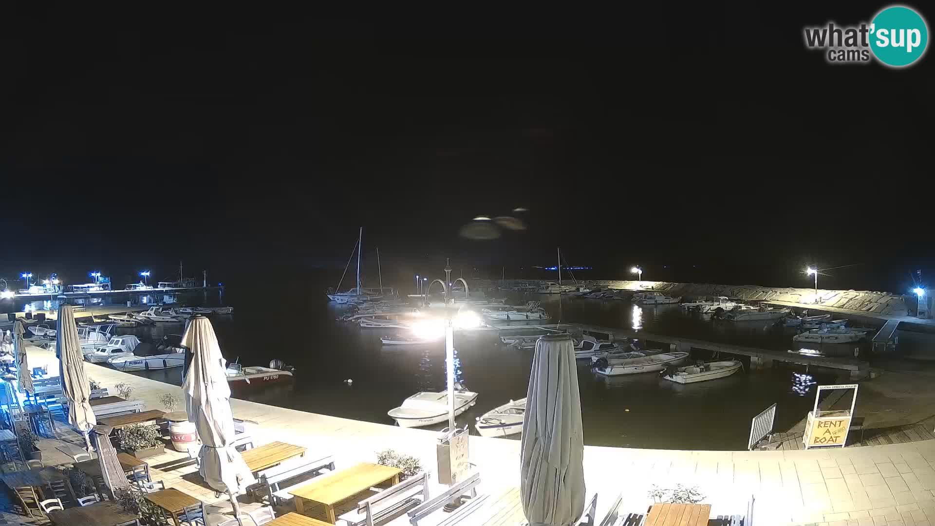 Webcam Fažana riva and city marina – Istria