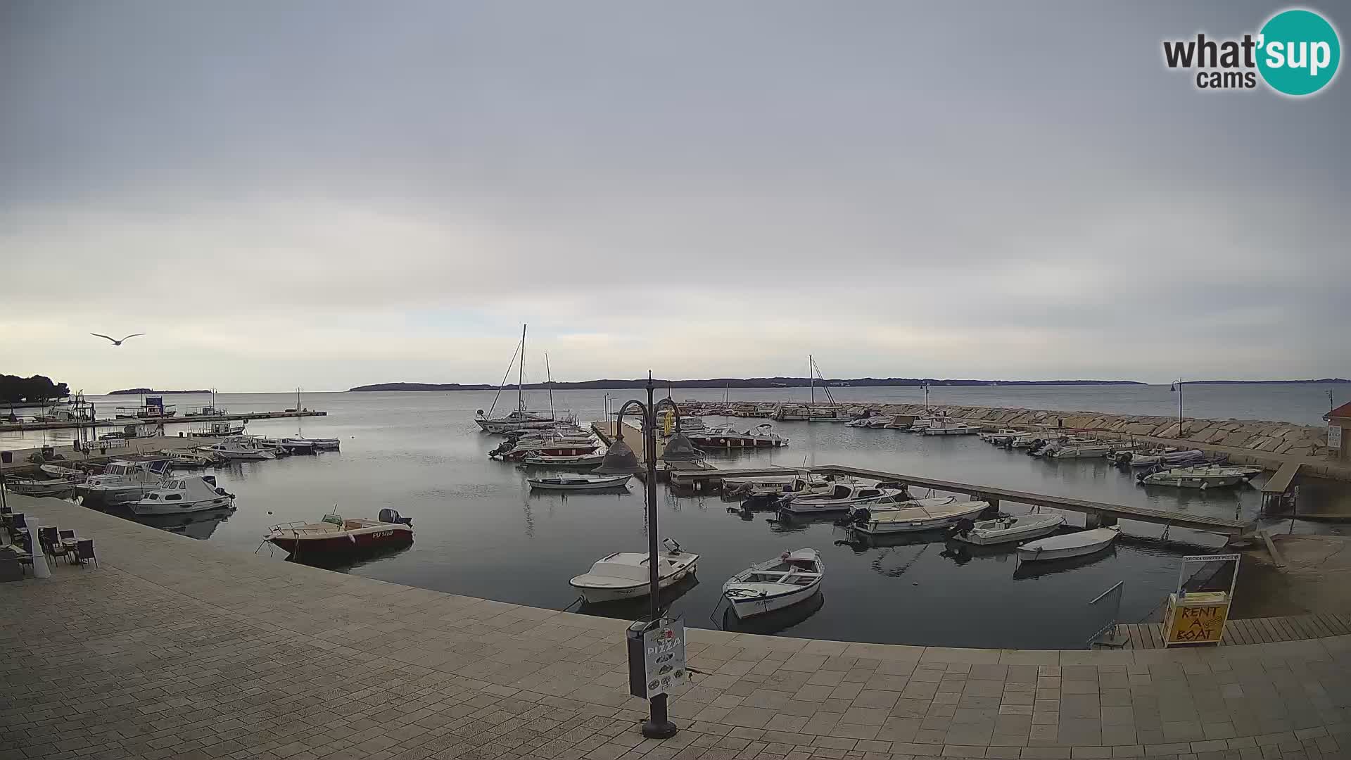 Fažana Camera en vivo riva y marina de la ciudad – Istria