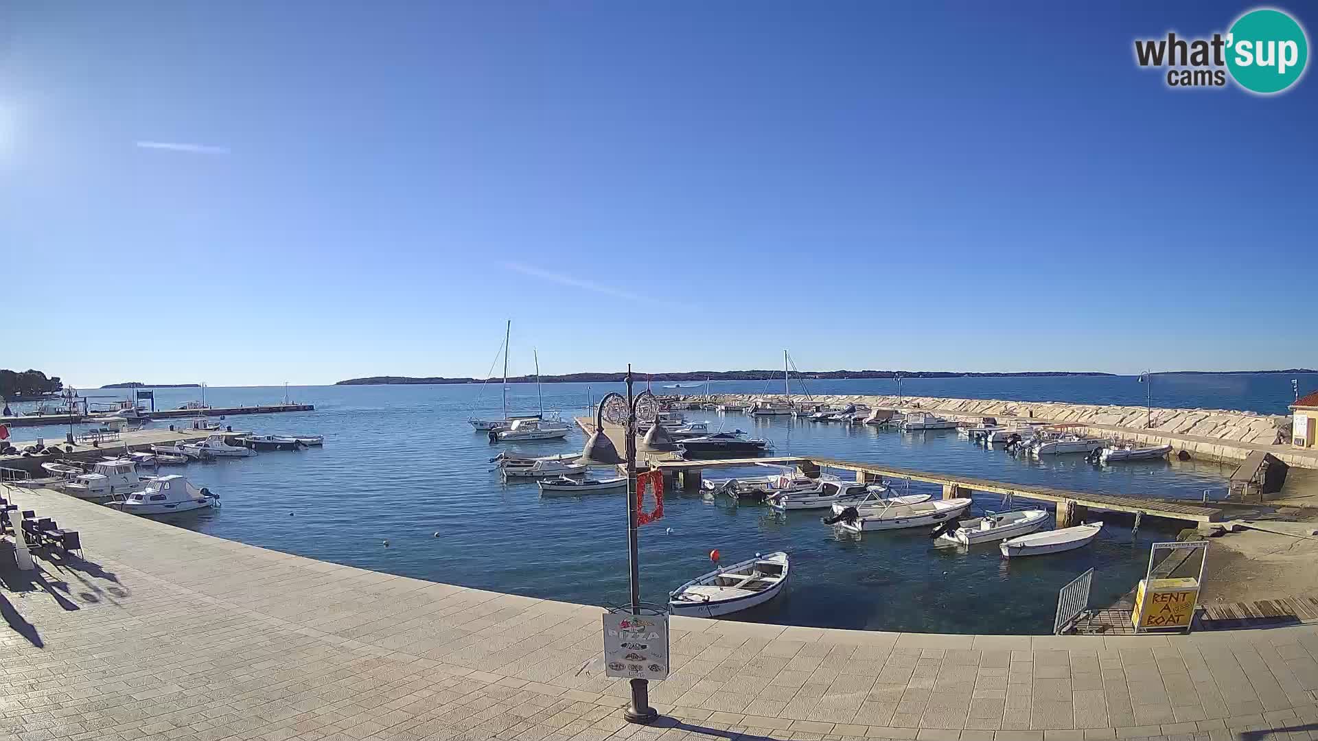 Fažana Camera en vivo riva y marina de la ciudad – Istria