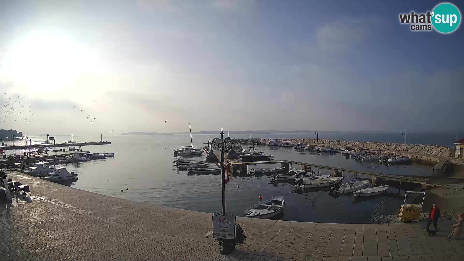 Fažana webcam Riva und Stadthafen – Istrien