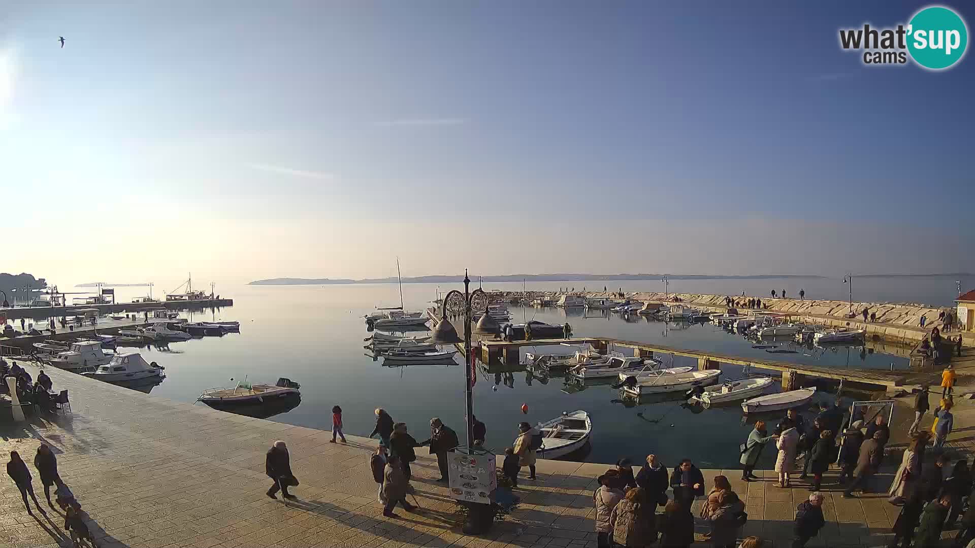 Webcam Fažana riva and city marina – Istria