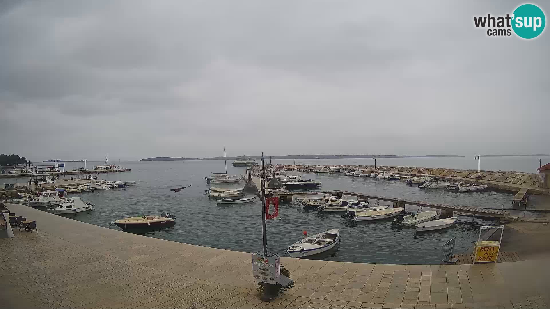 Fažana Camera en vivo riva y marina de la ciudad – Istria