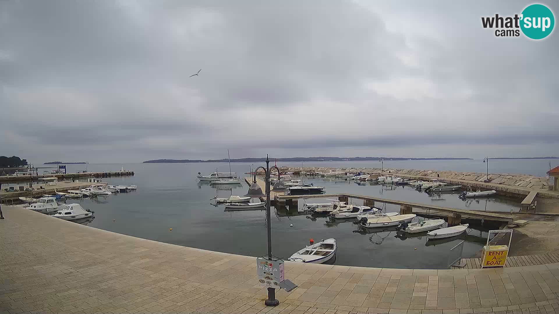 Fažana Camera en vivo riva y marina de la ciudad – Istria