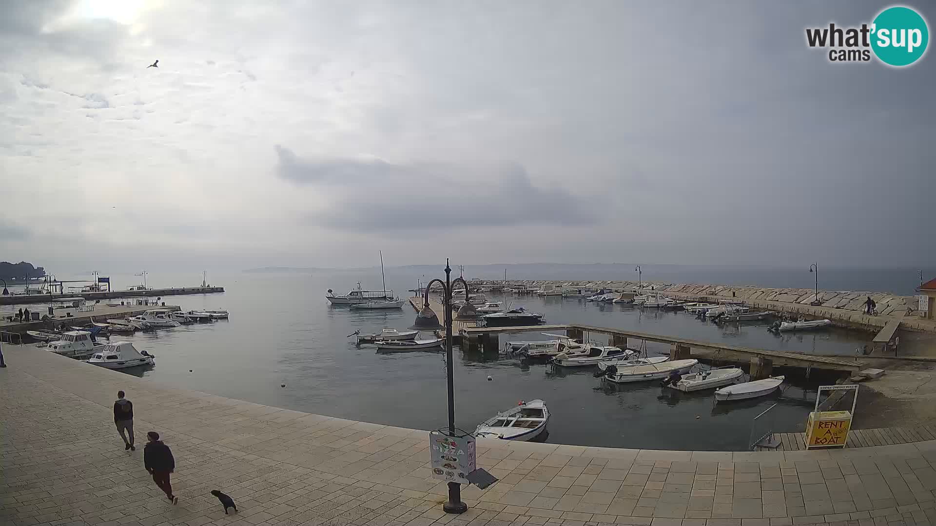 Webcam Fažana riva and city marina – Istria