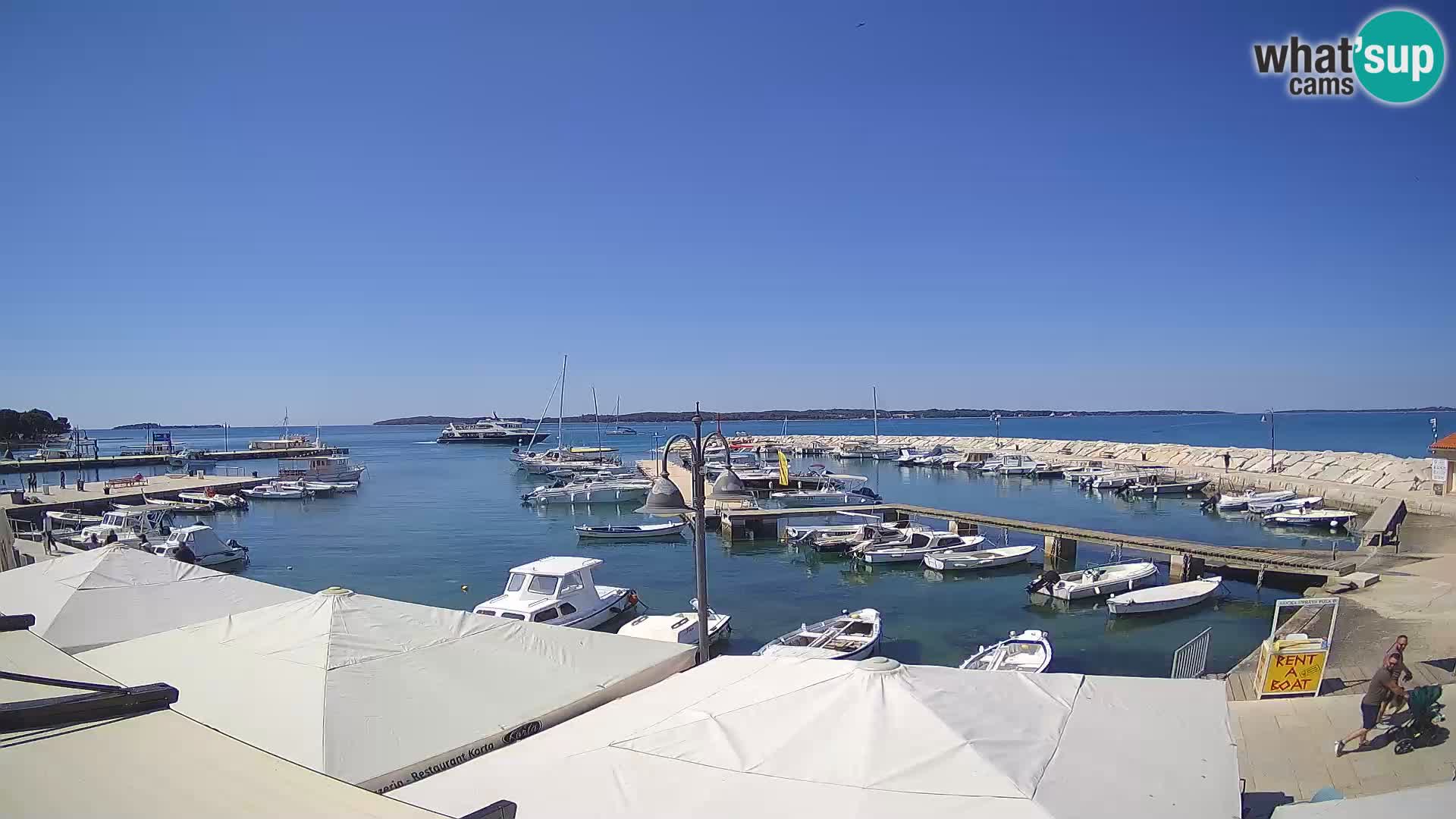 Webcam Fažana riva and city marina – Istria