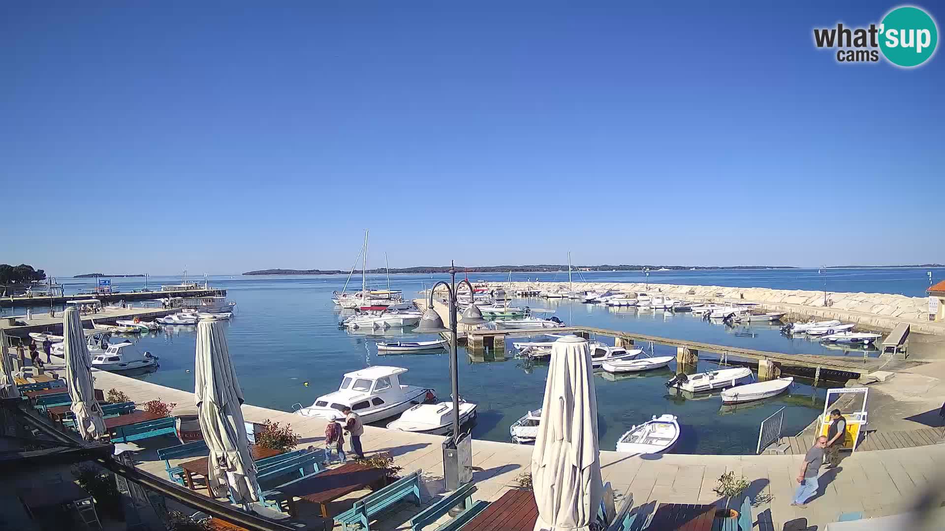 Webcam Fažana riva and city marina – Istria