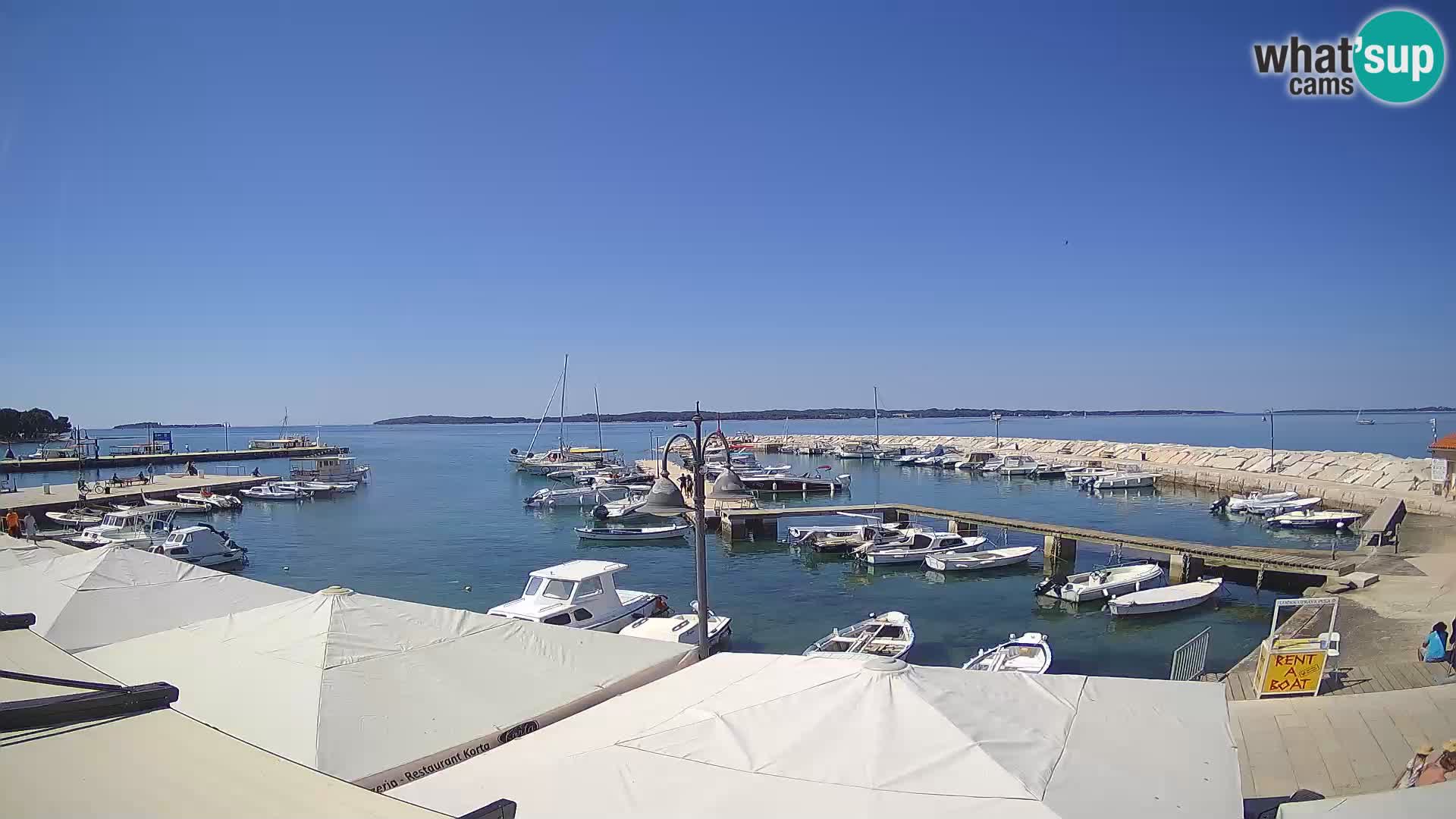 Fažana web kamera riva i gradska marina – Istra