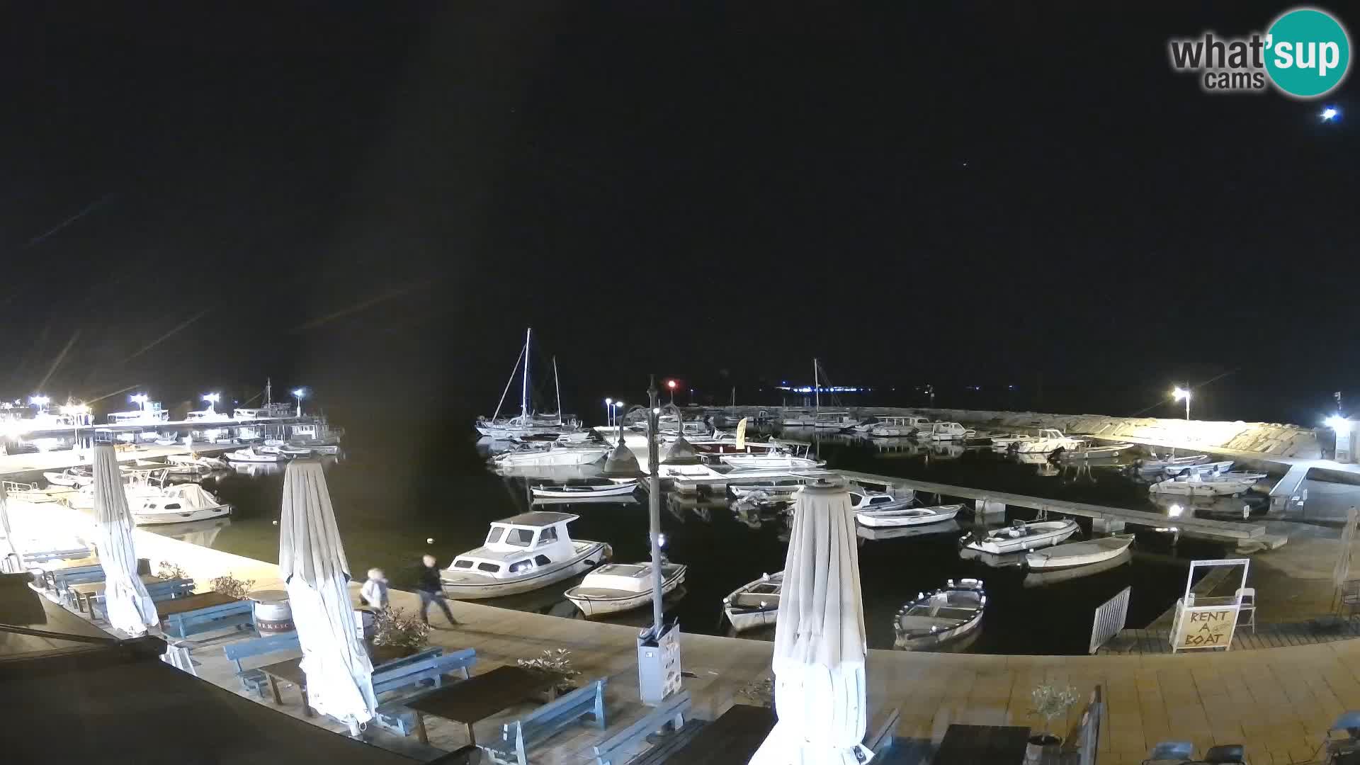 Fažana Camera en vivo riva y marina de la ciudad – Istria