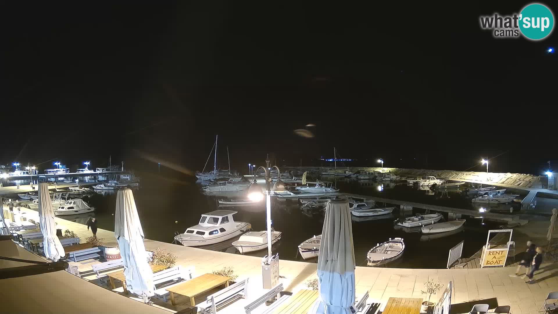 Fažana Camera en vivo riva y marina de la ciudad – Istria