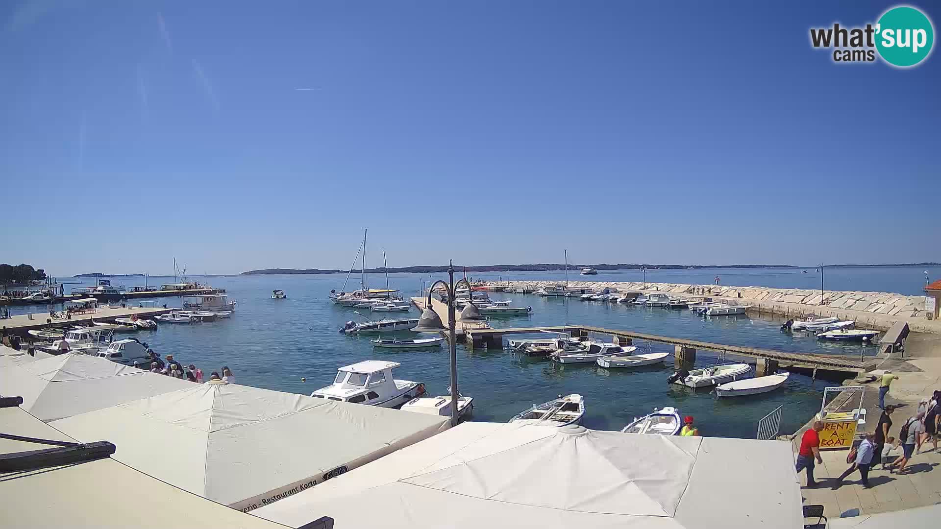 Fažana web kamera riva i gradska marina – Istra