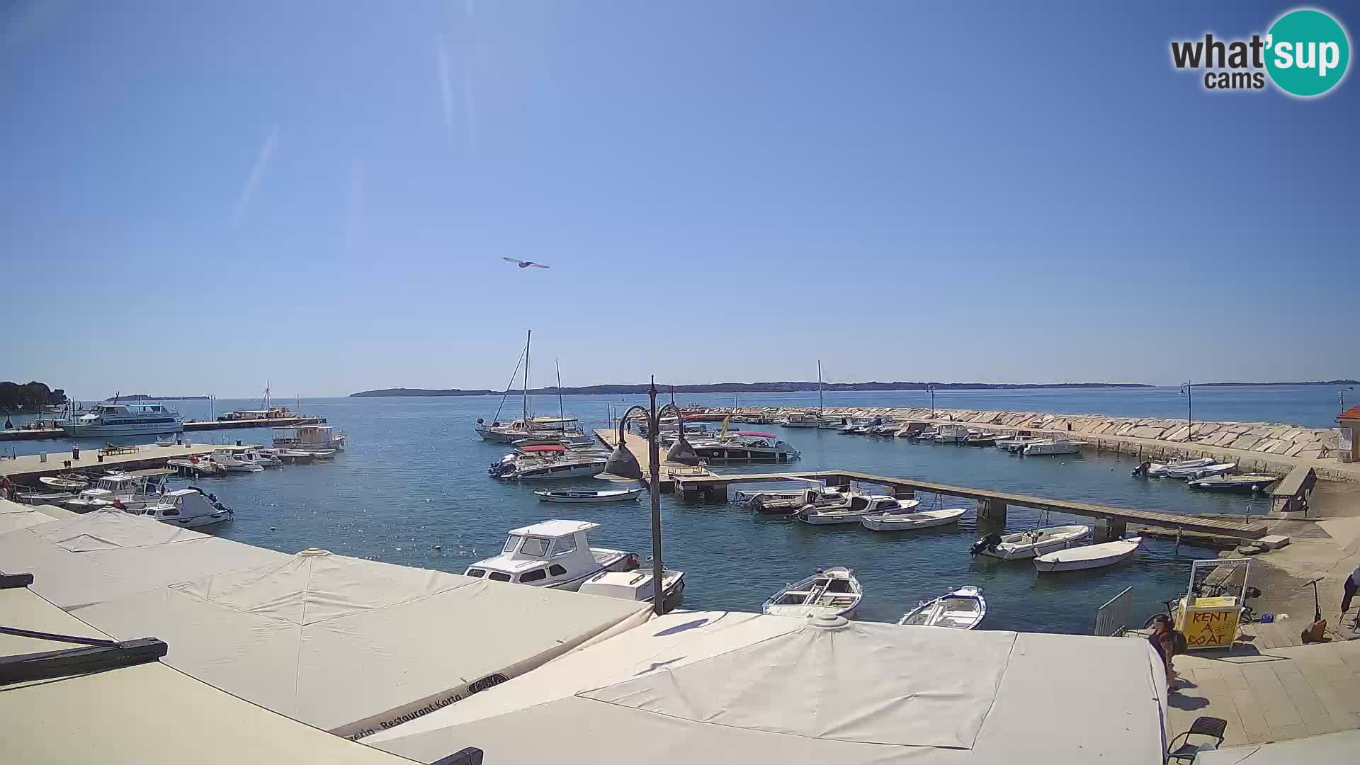 Webcam Fažana riva and city marina – Istria