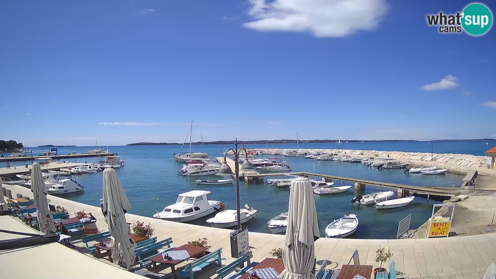 Fažana Camera en vivo riva y marina de la ciudad – Istria