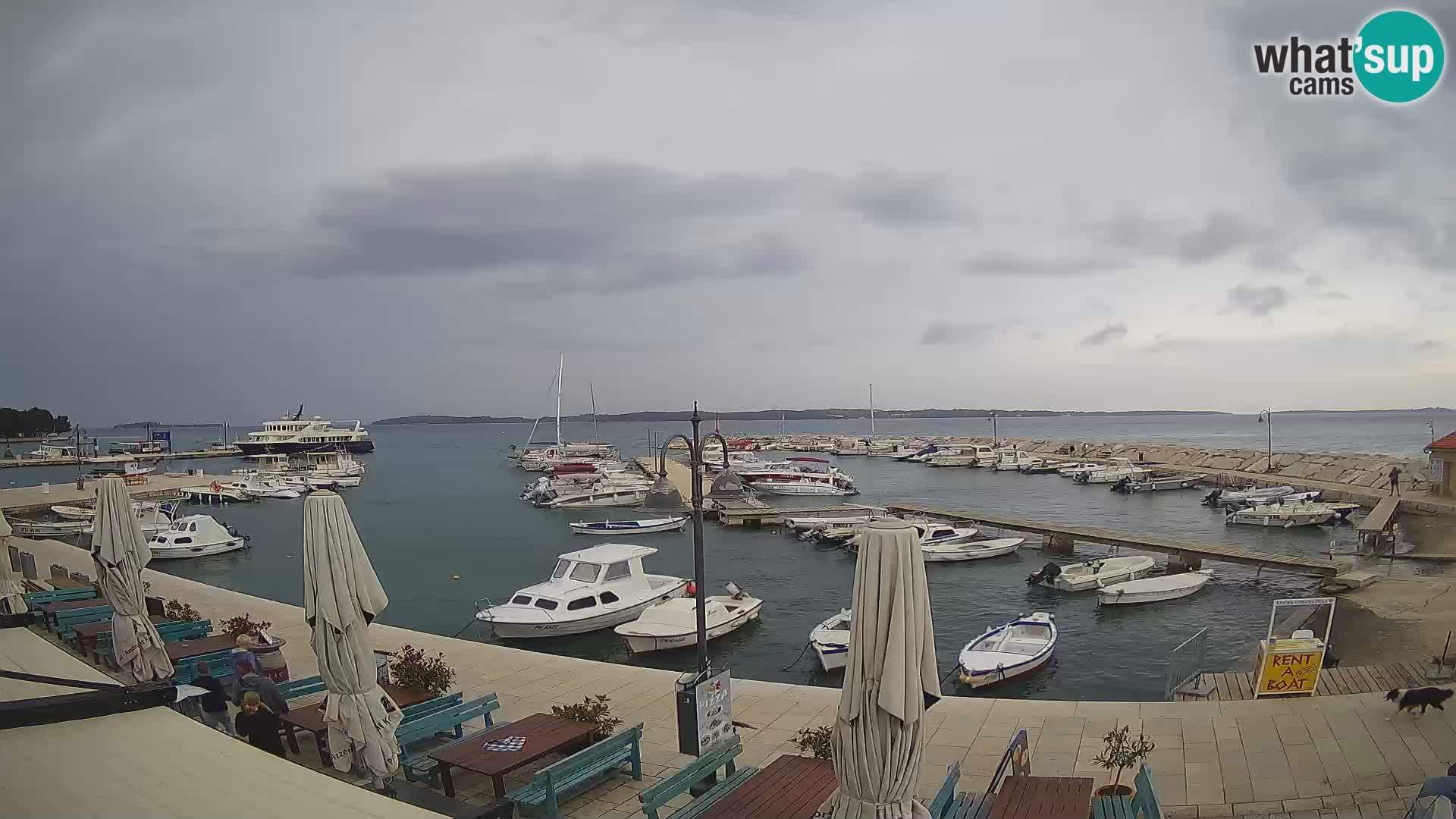 Fažana Camera en vivo riva y marina de la ciudad – Istria