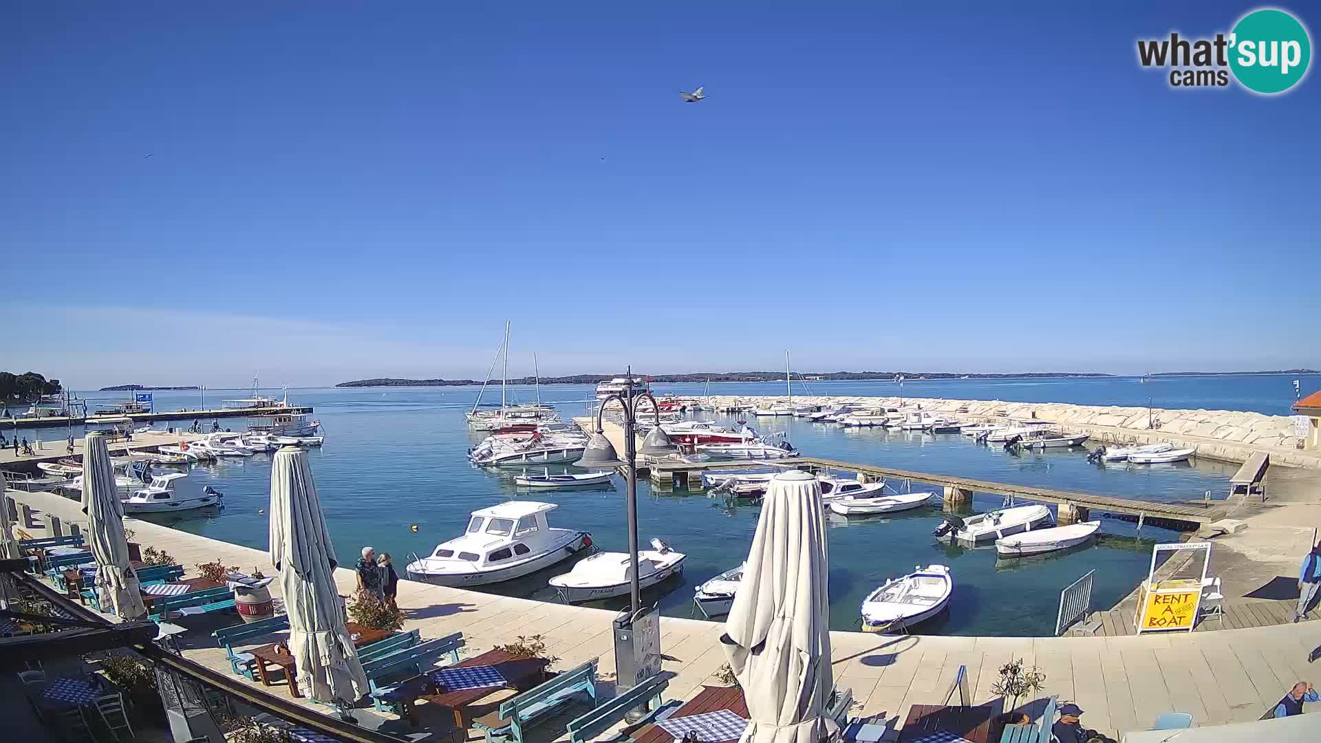 Webcam Fažana riva and city marina – Istria