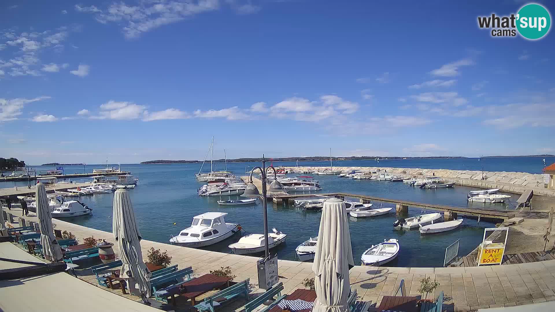 Fažana web kamera riva i gradska marina – Istra