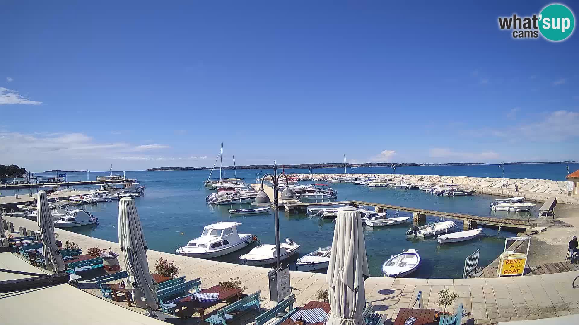 Spletna kamera Fažana riva in mestna marina – Istra