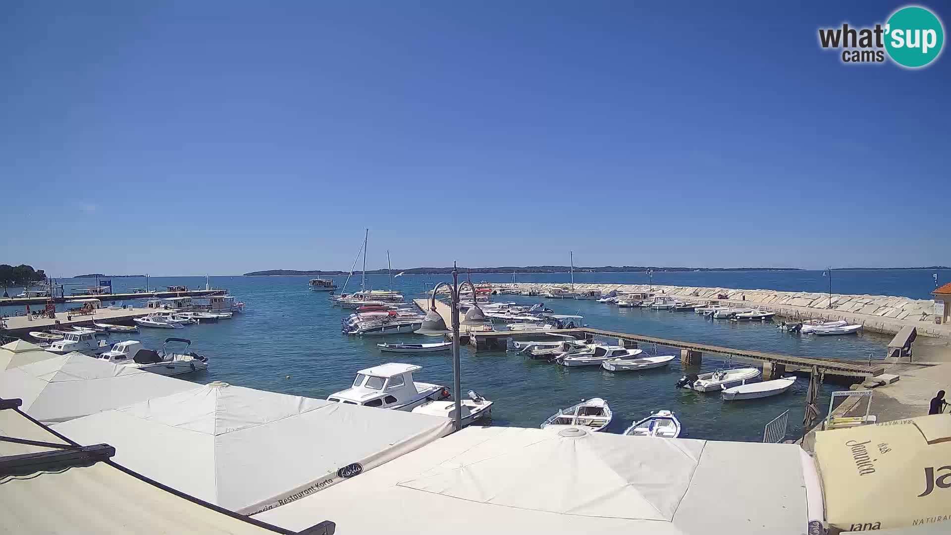 Spletna kamera Fažana riva in mestna marina – Istra