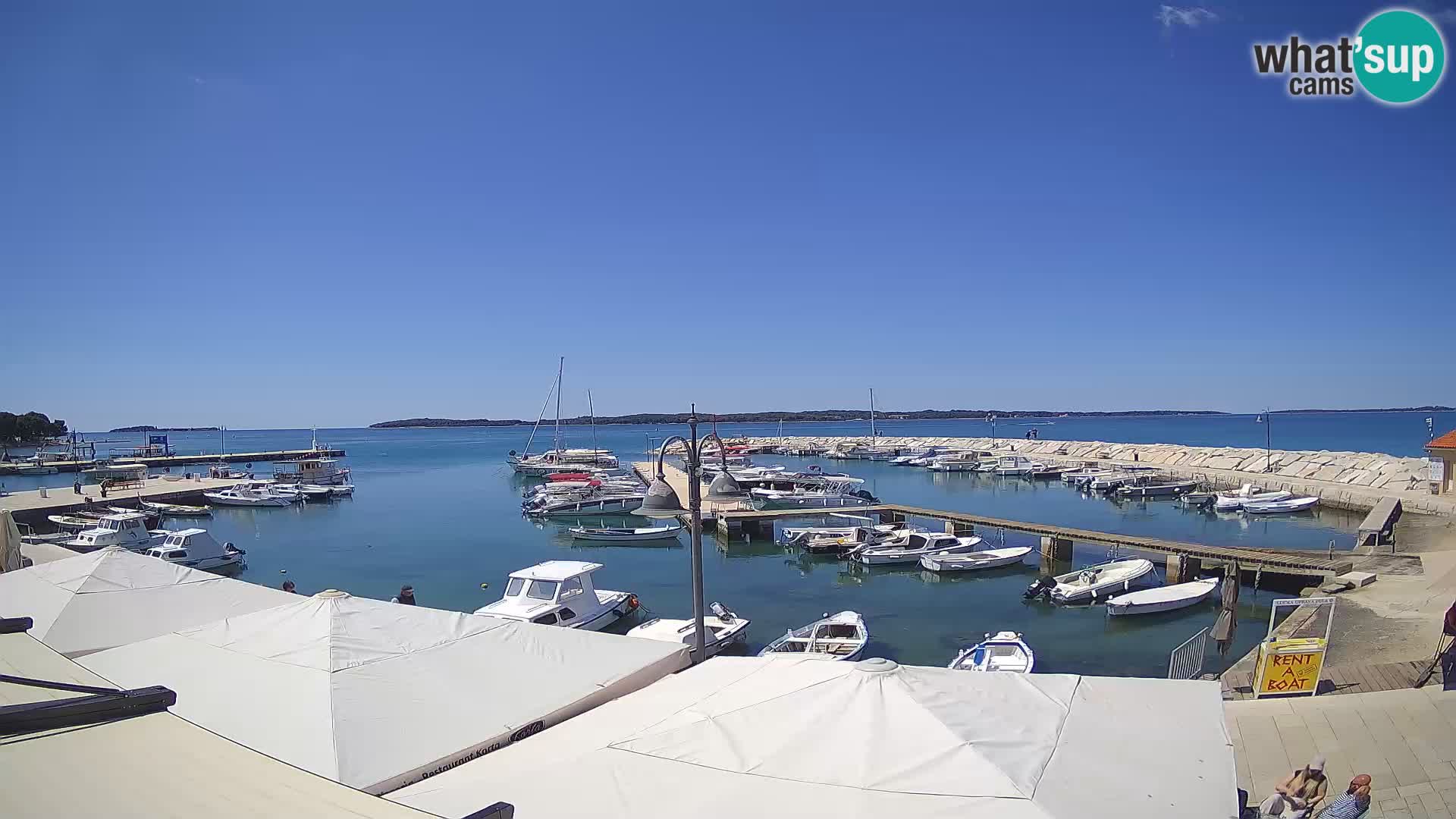 Fažana web kamera riva i gradska marina – Istra