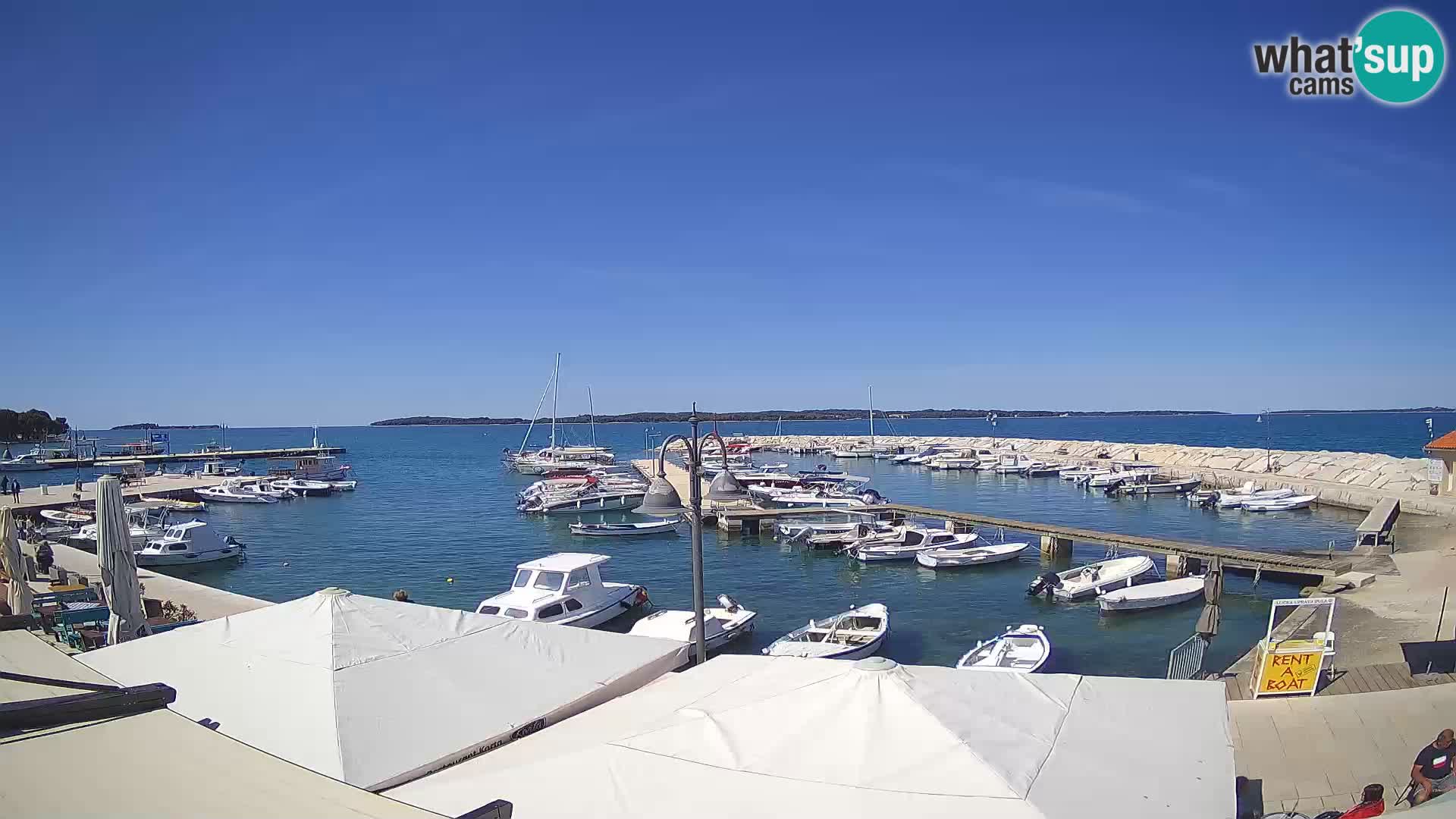 Fažana Camera en vivo riva y marina de la ciudad – Istria