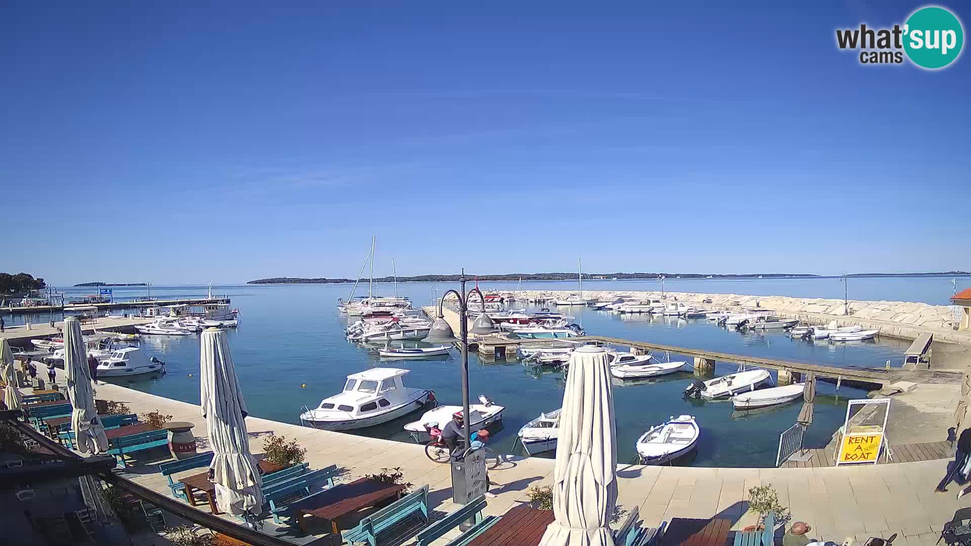 Fažana Camera en vivo riva y marina de la ciudad – Istria