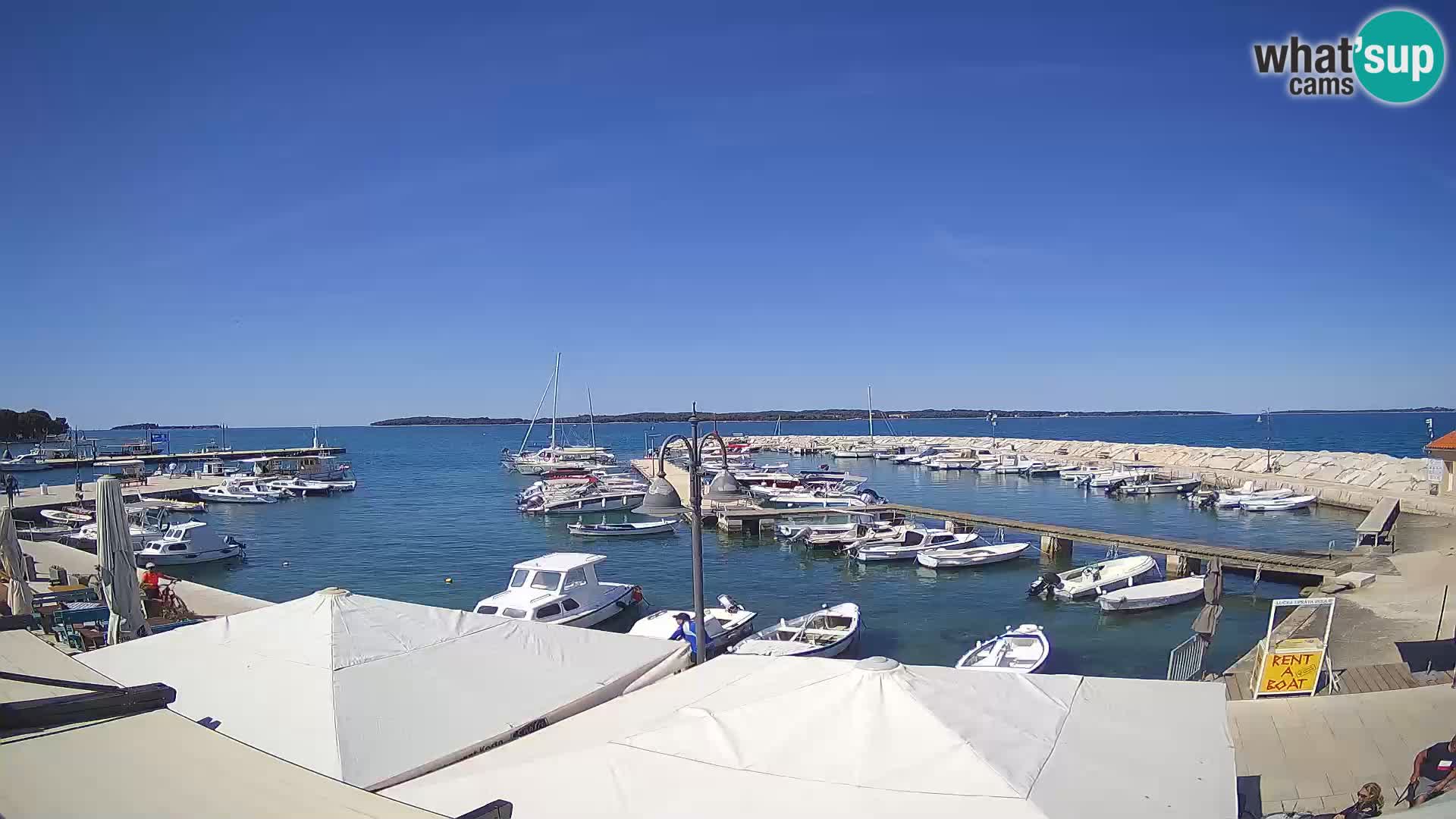 Fažana Camera en vivo riva y marina de la ciudad – Istria