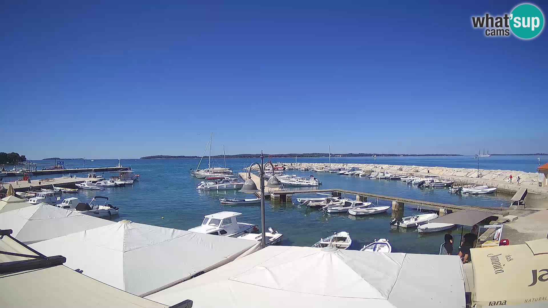 Fažana webcam Riva und Stadthafen – Istrien
